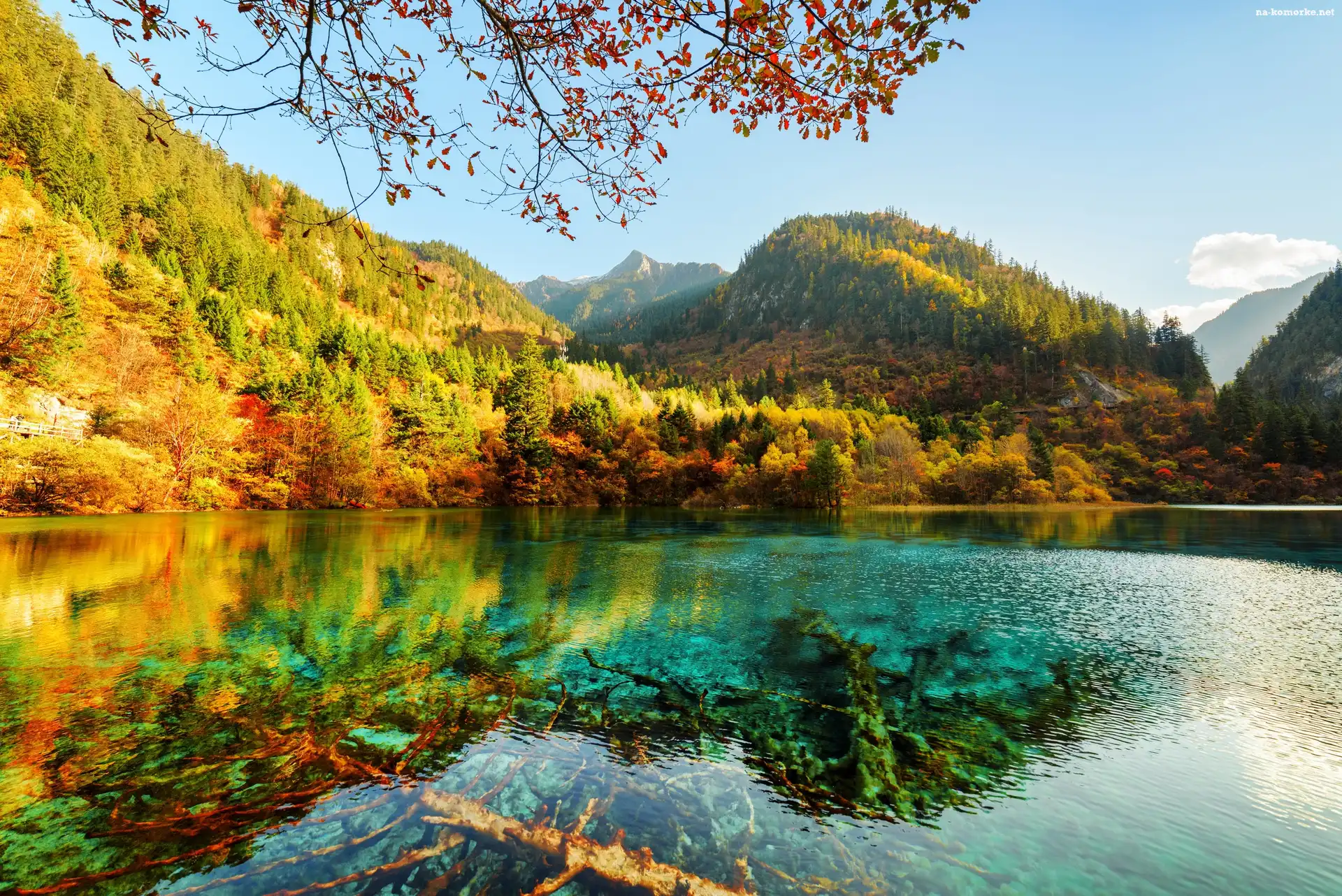 Chiny, Jezioro Wu Hua Hai - Pięciu Kwiatów, Drzewa, Park Narodowy Jiuzhaigou, Jesień, Las, Góry