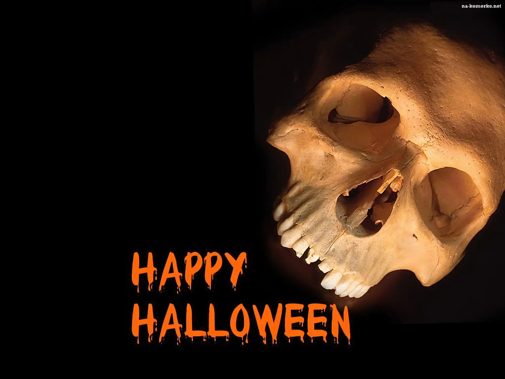 Halloween, czaszka