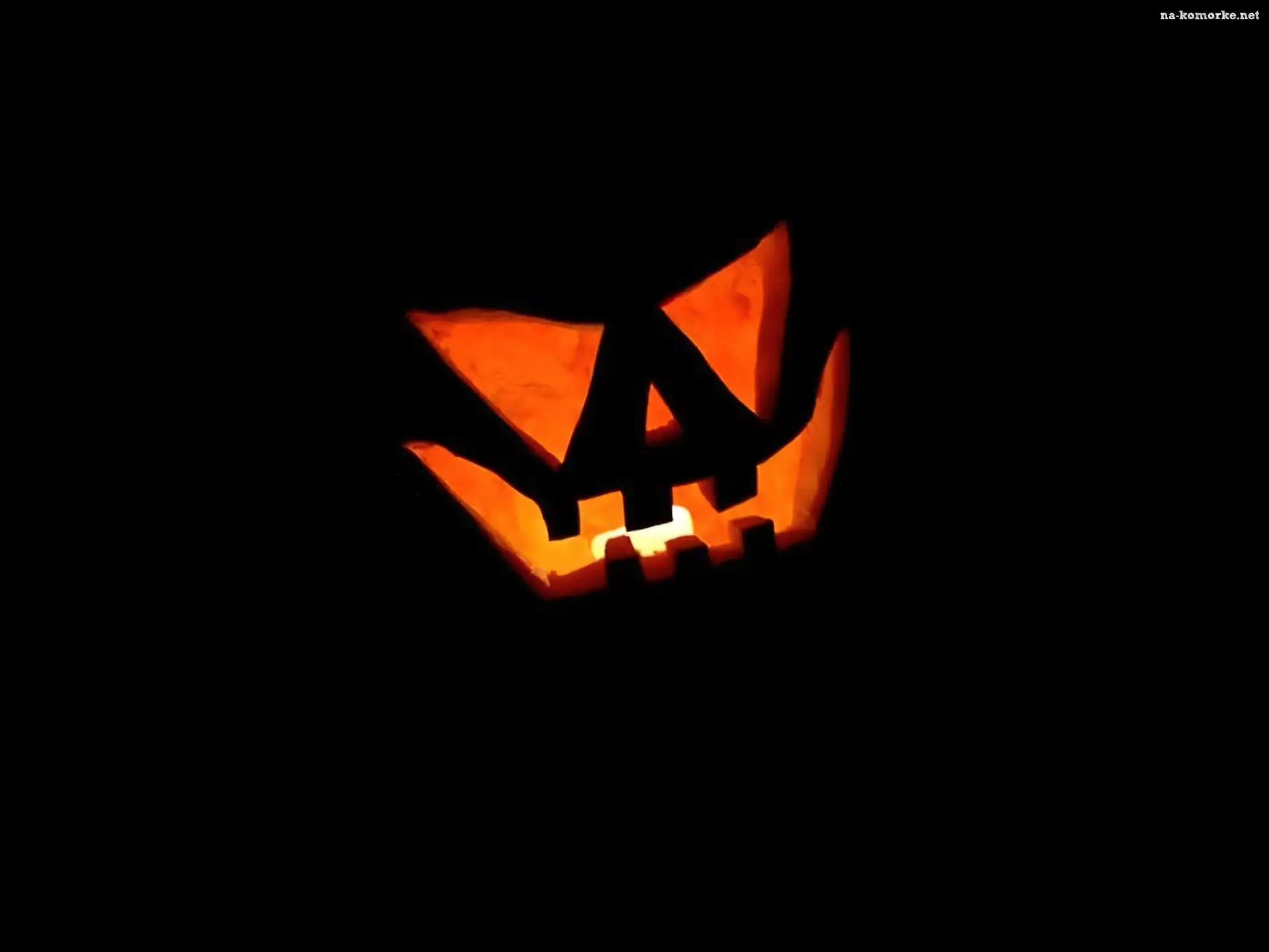 Halloween, dynia