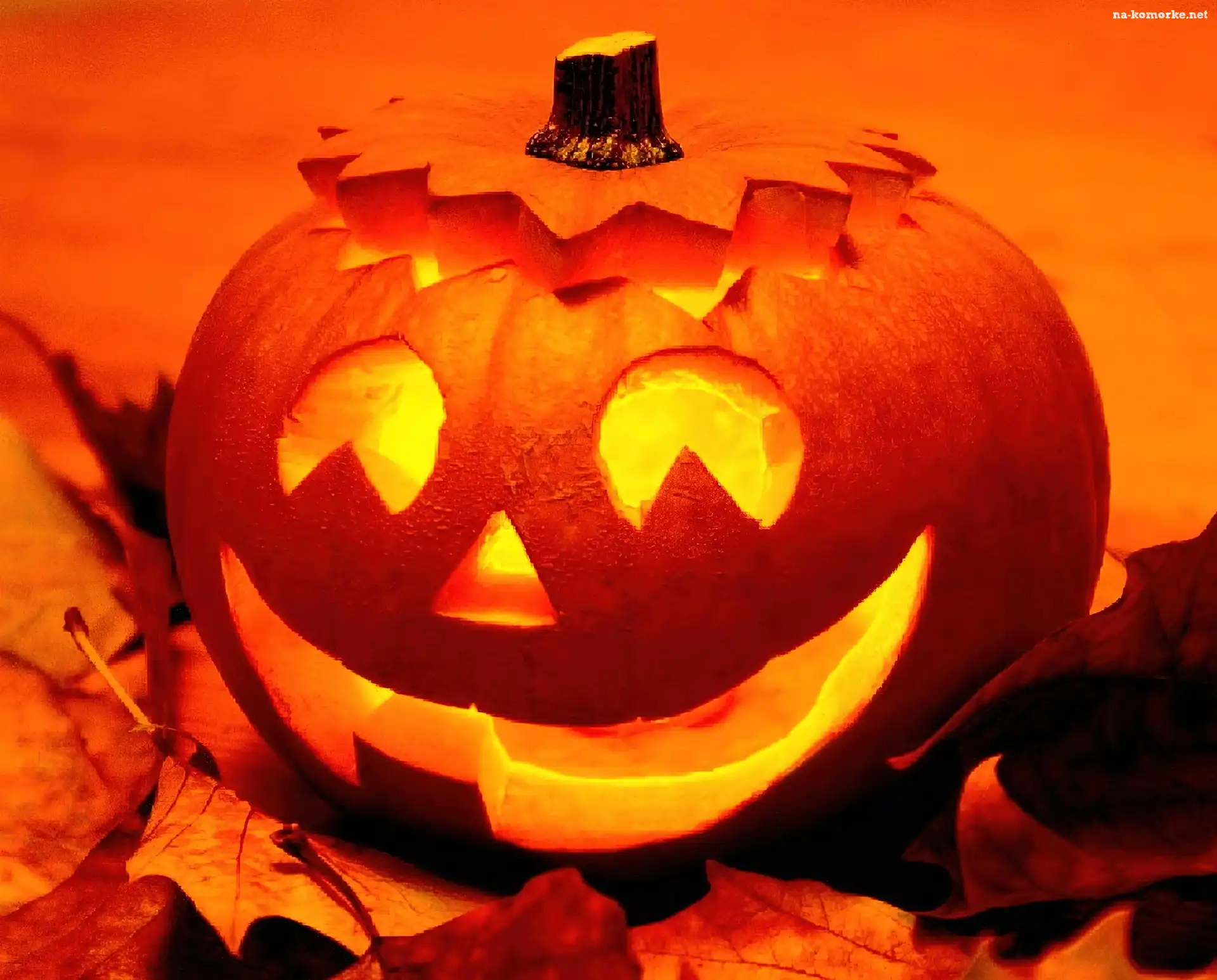 Dynia, Halloween, Åšwieczka