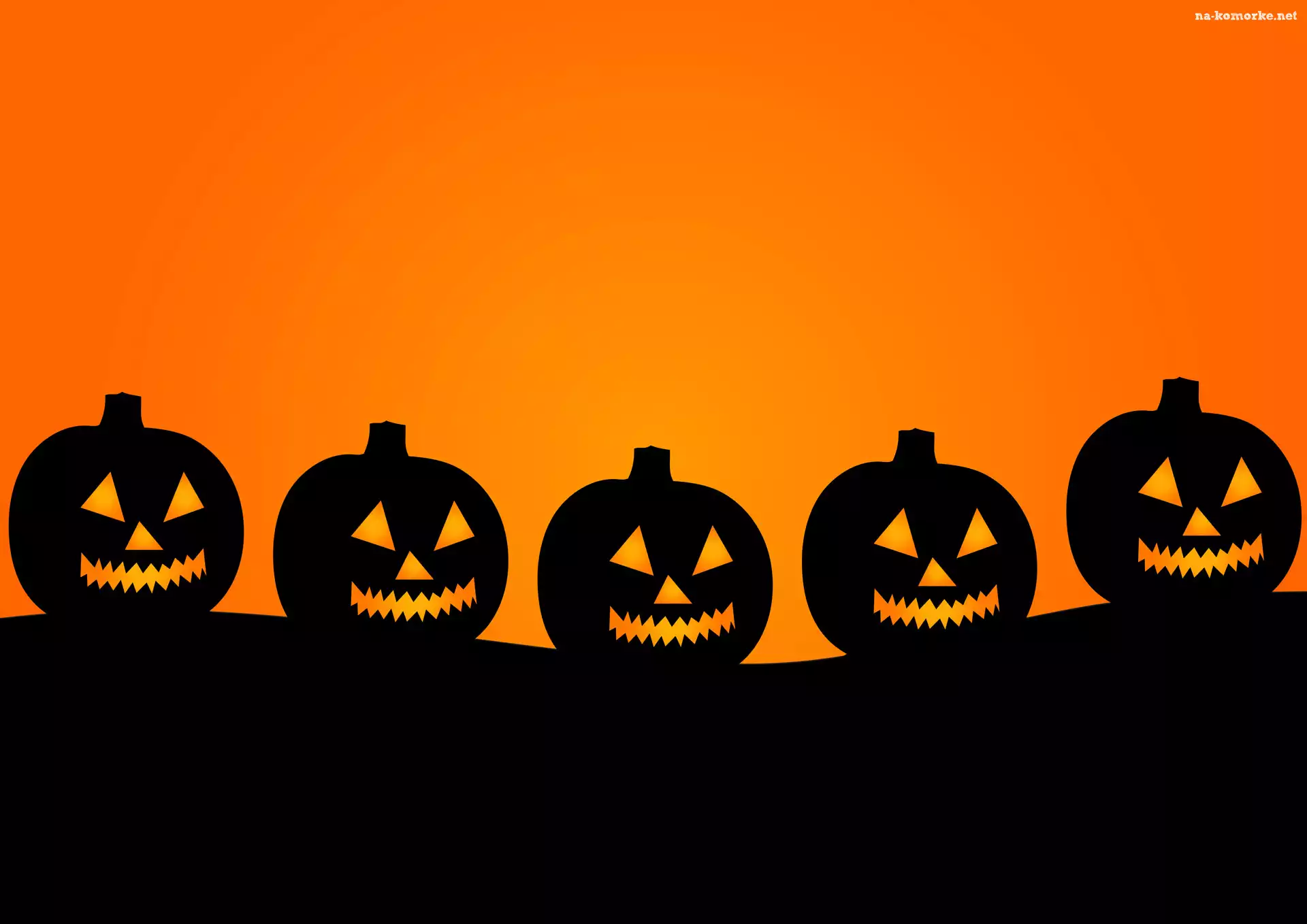 Halloween, Dynie