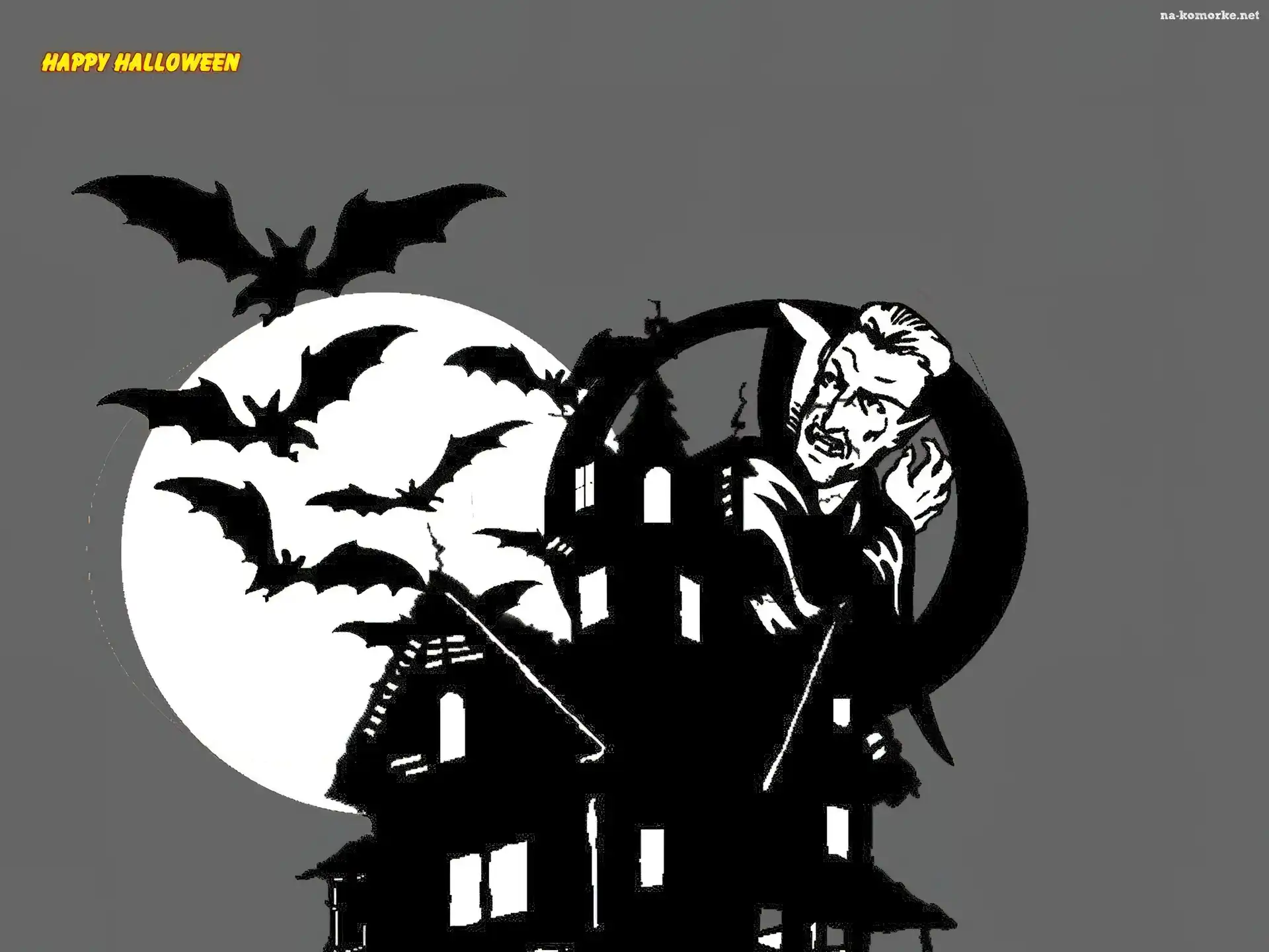 Halloween, nietoperze
