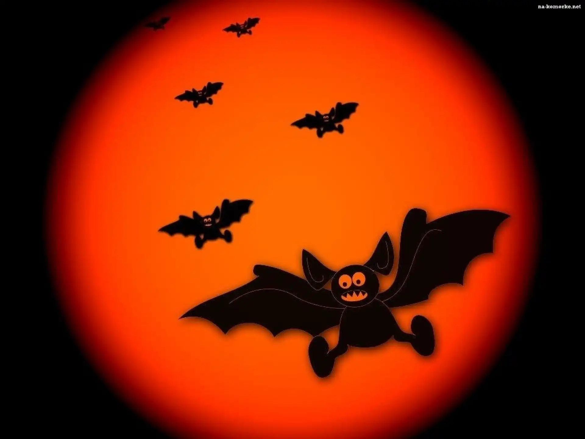 Halloween, nietoperze