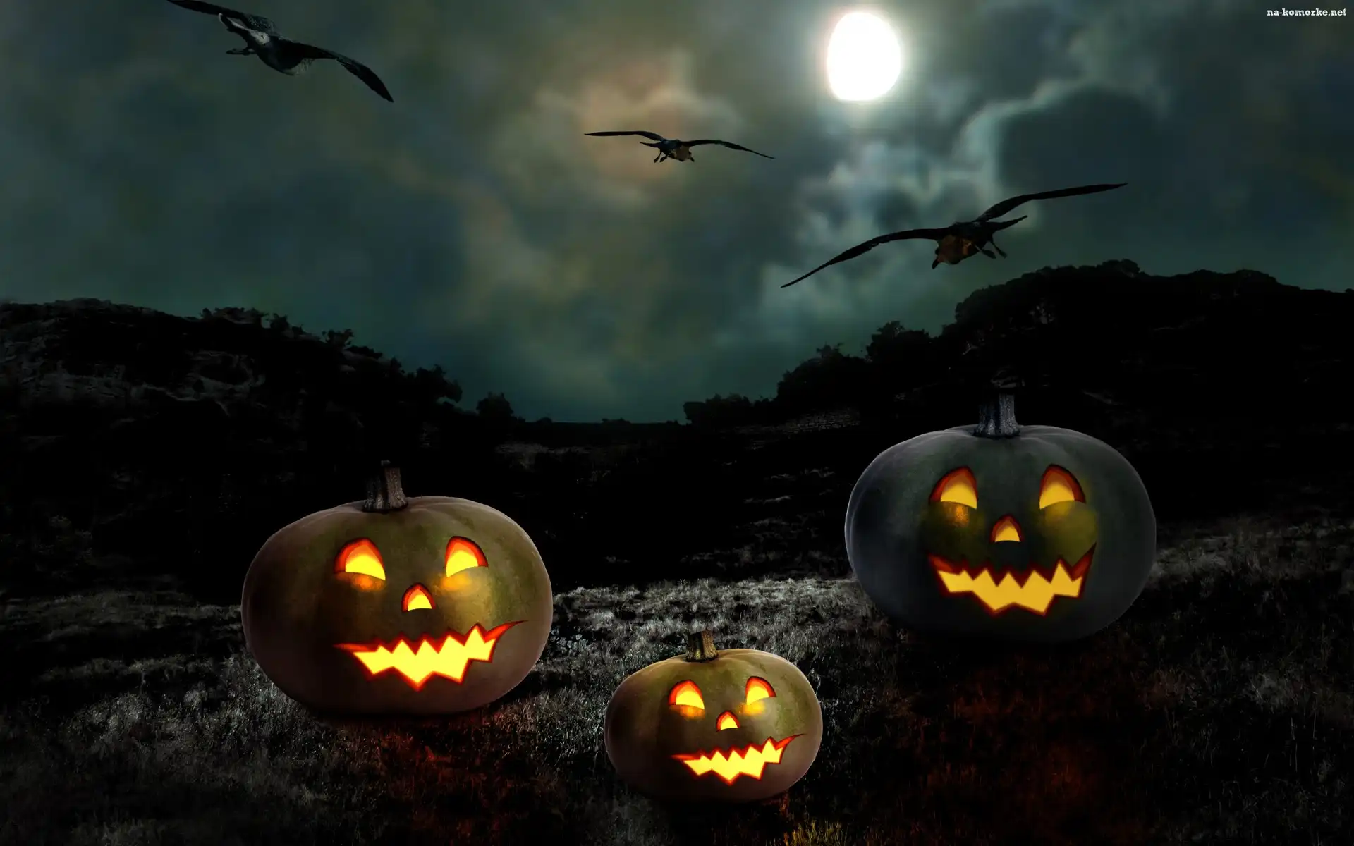 Halloween, Ptaki, Noc, Dynie