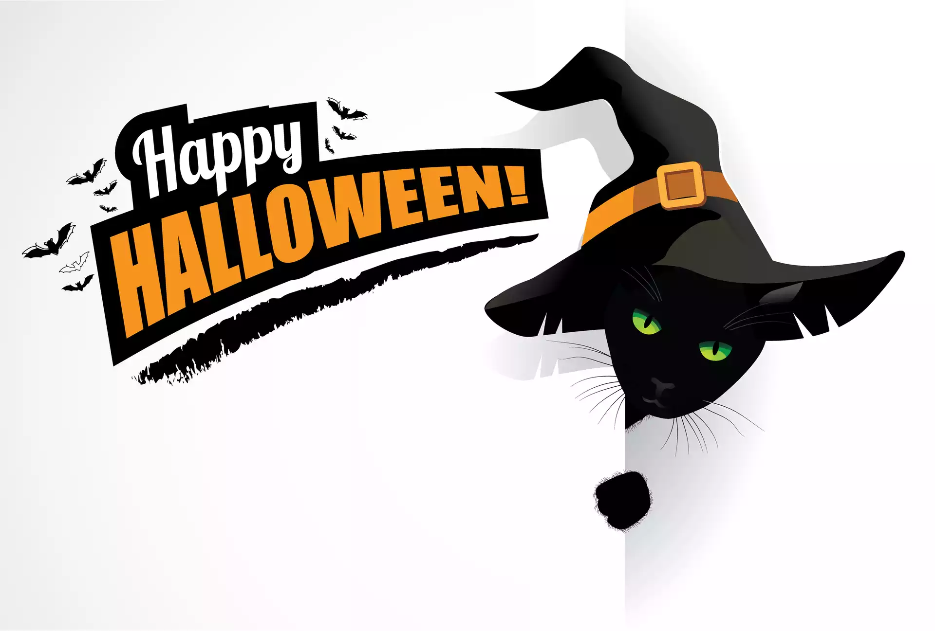 Halloween, Happy Halloween, Grafika, Kot, Czarny, Kapelusz, Napis