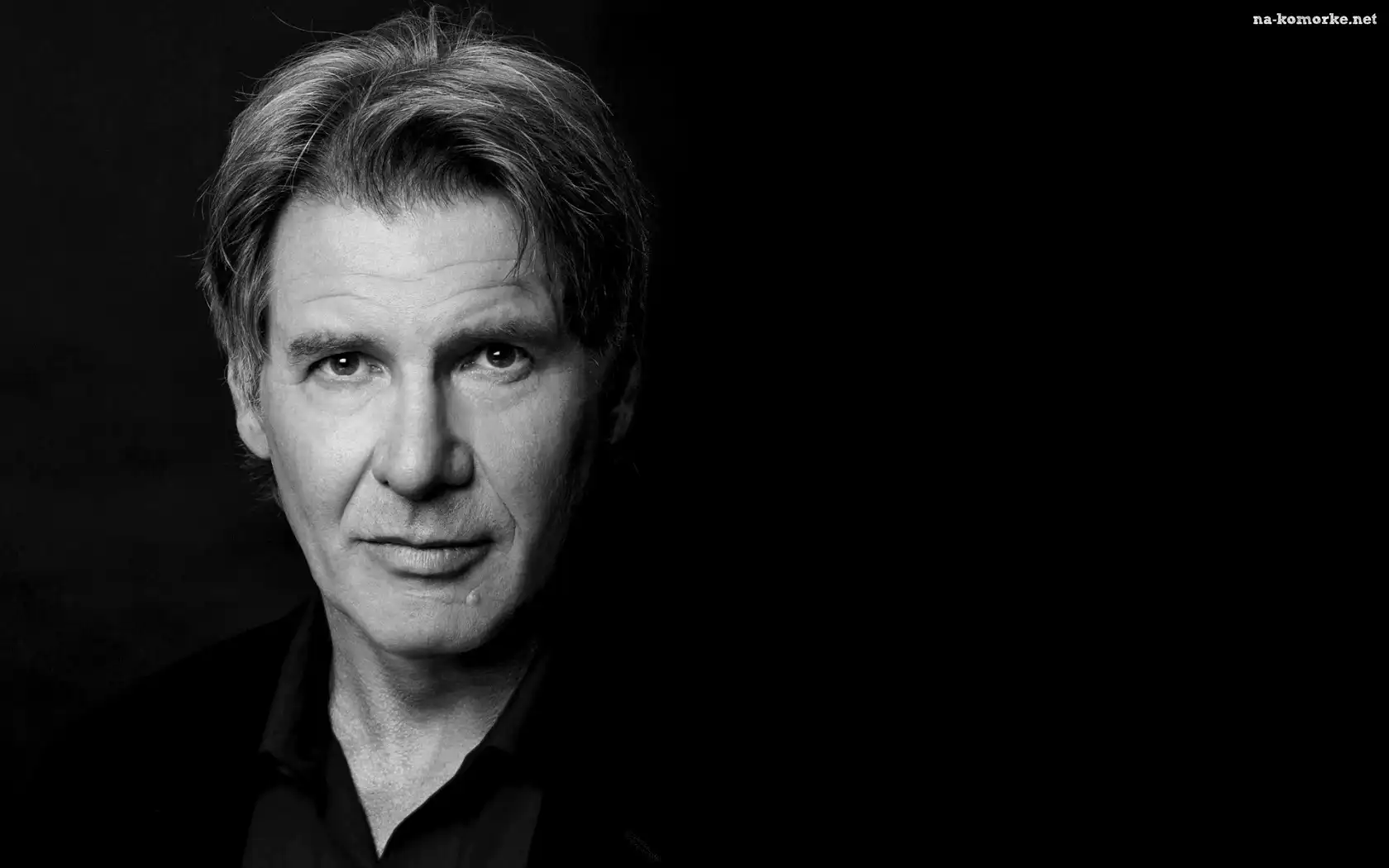 Harrison Ford, Aktor, Portret