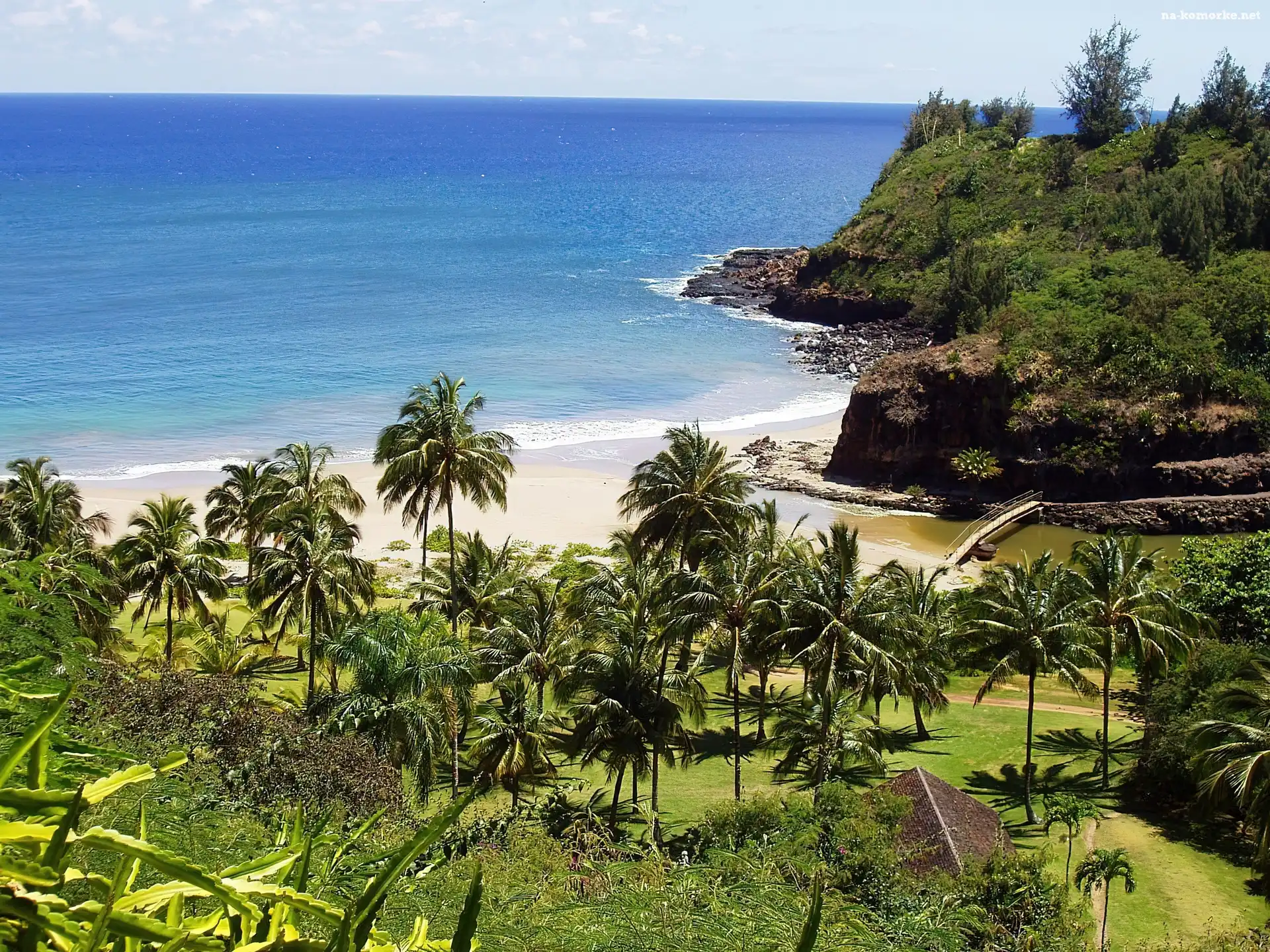 Hawaje, Morze, Ogród, Palmy, Kauai