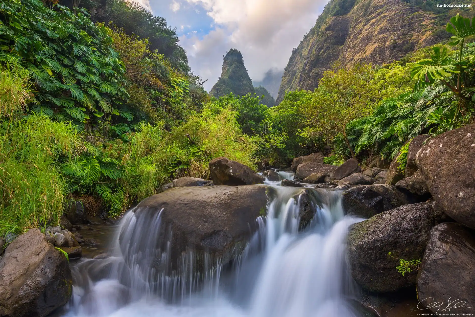 Roślinność, Hawaje, Wyspa Maui, Potok Iao Valley, Skały