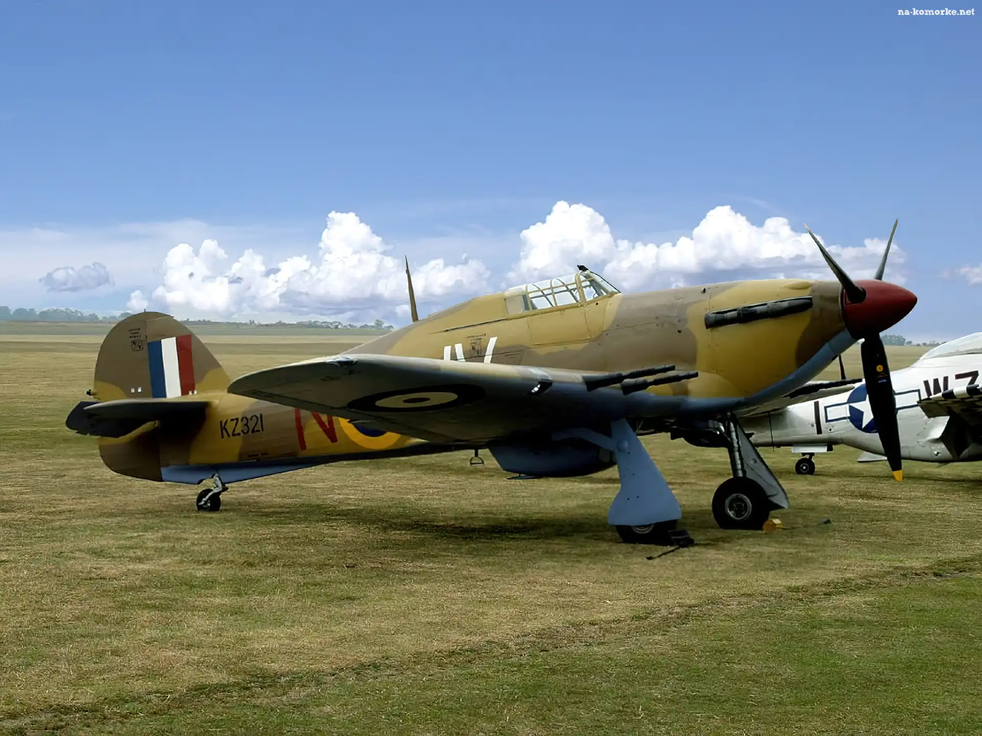Hawker Hurricane, Francji, Lotnisko, Barwy
