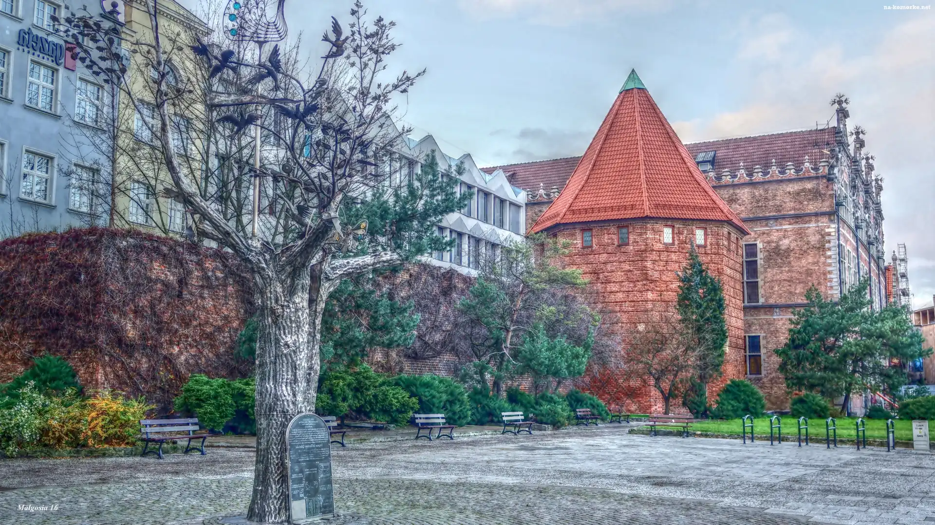 HDR, Gdańsk, Budynki, Drzewo, Tabliczka