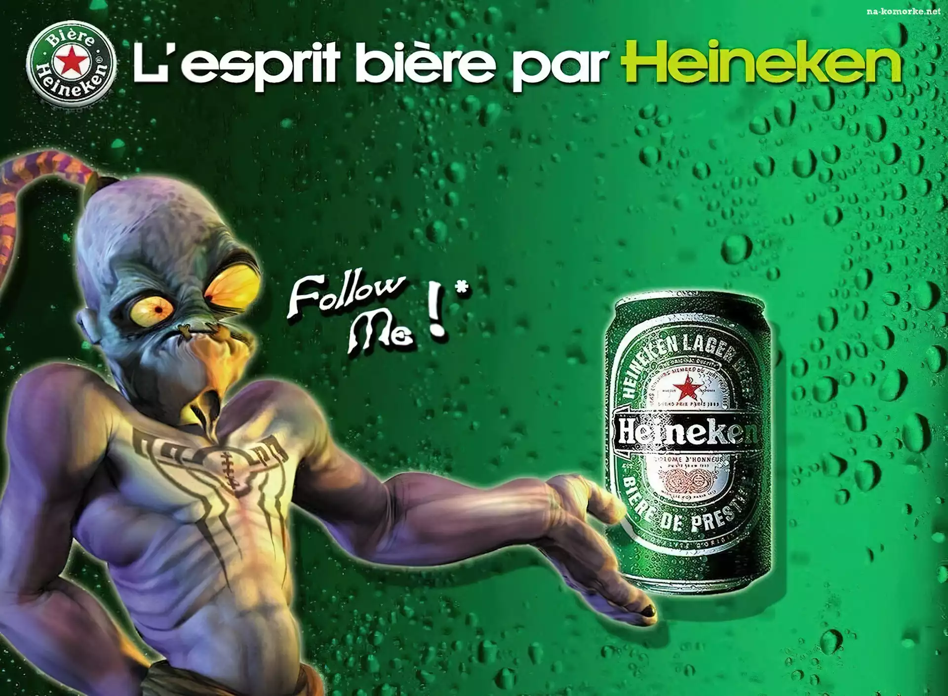 Piwo, Puszka, Heineken