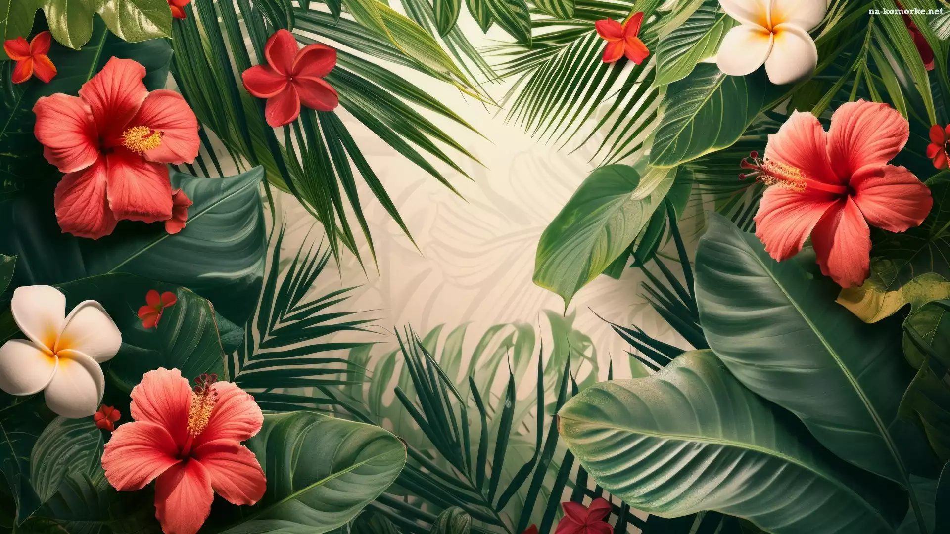 Liście, 2D, Kwiaty, Hibiskusy