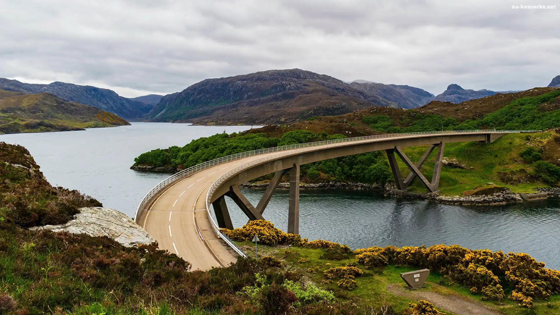 Szkocja, Krzewy, Roślinność, Region Highlands, Jezioro Loch a Chairn Bhain, Most Kylesku Bridge, Wzgórza