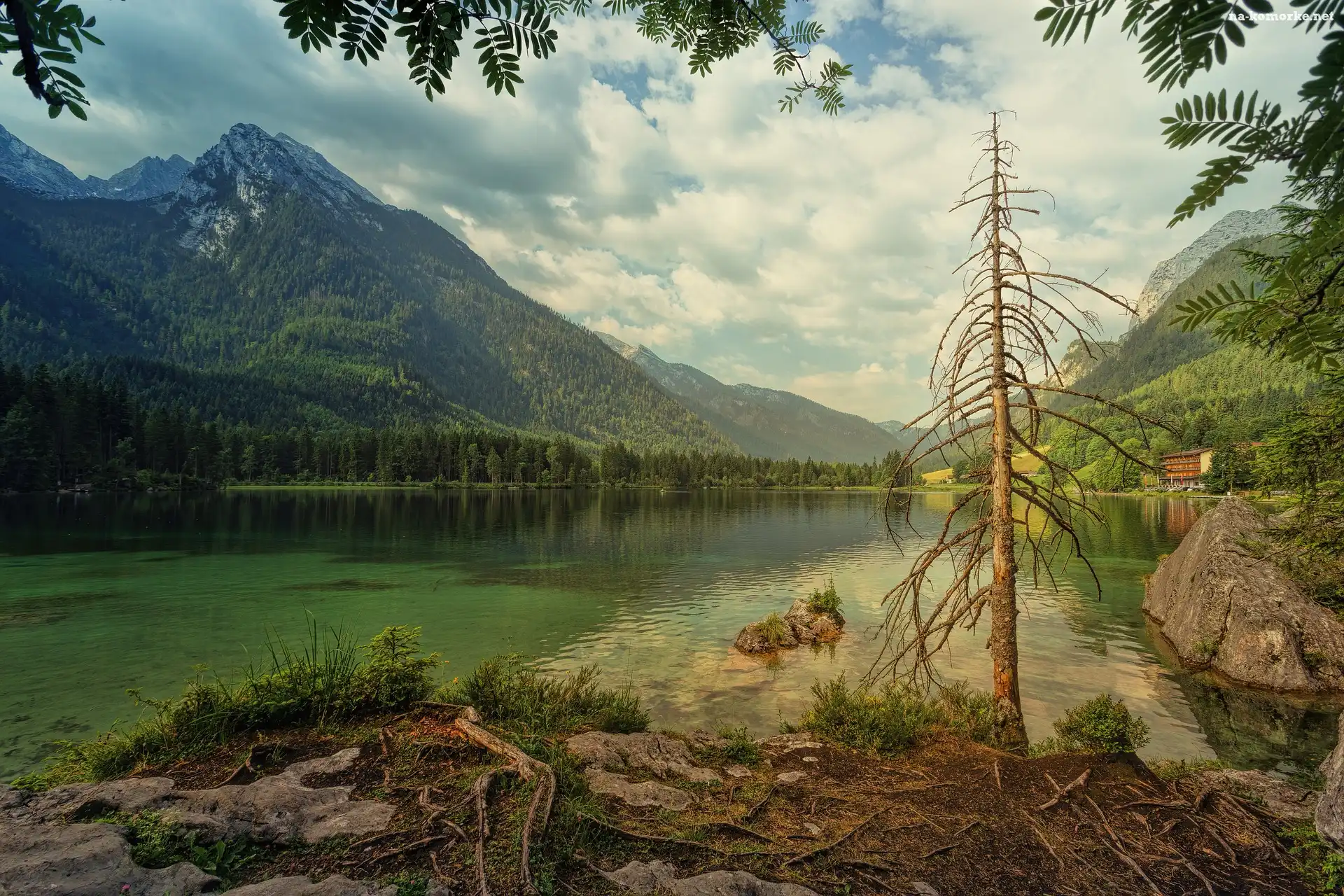 Góry Alpy, Bawaria, Niemcy, Jezioro Hintersee, Lasy, Drzewo, Gmina Ramsau bei Berchtesgaden