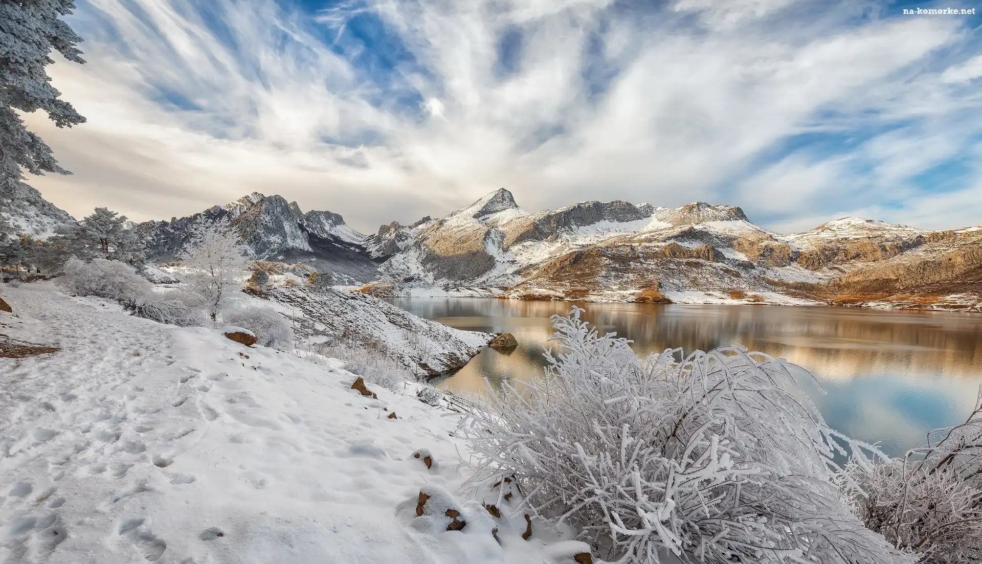 Hiszpania, Drzewa, Jezioro Embalse de Riaño, Åšnieg, Kastylia i León, Zima, Góry, Krzewy