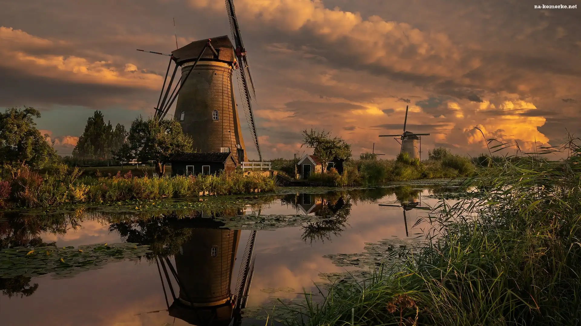 Kinderdijk, Wiatraki, Rośliny, Holandia, Kanał, Rzeka