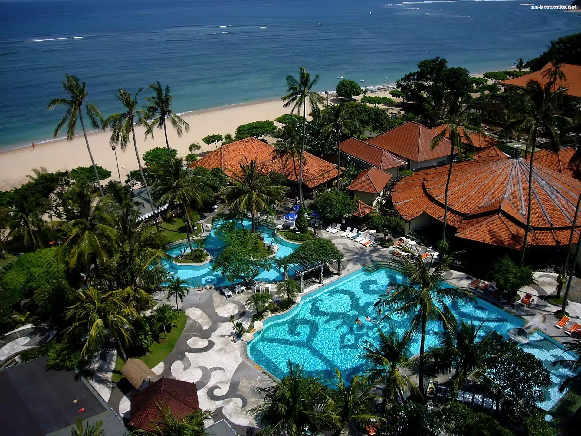 Hotel, Morze, Basen, Palmy
