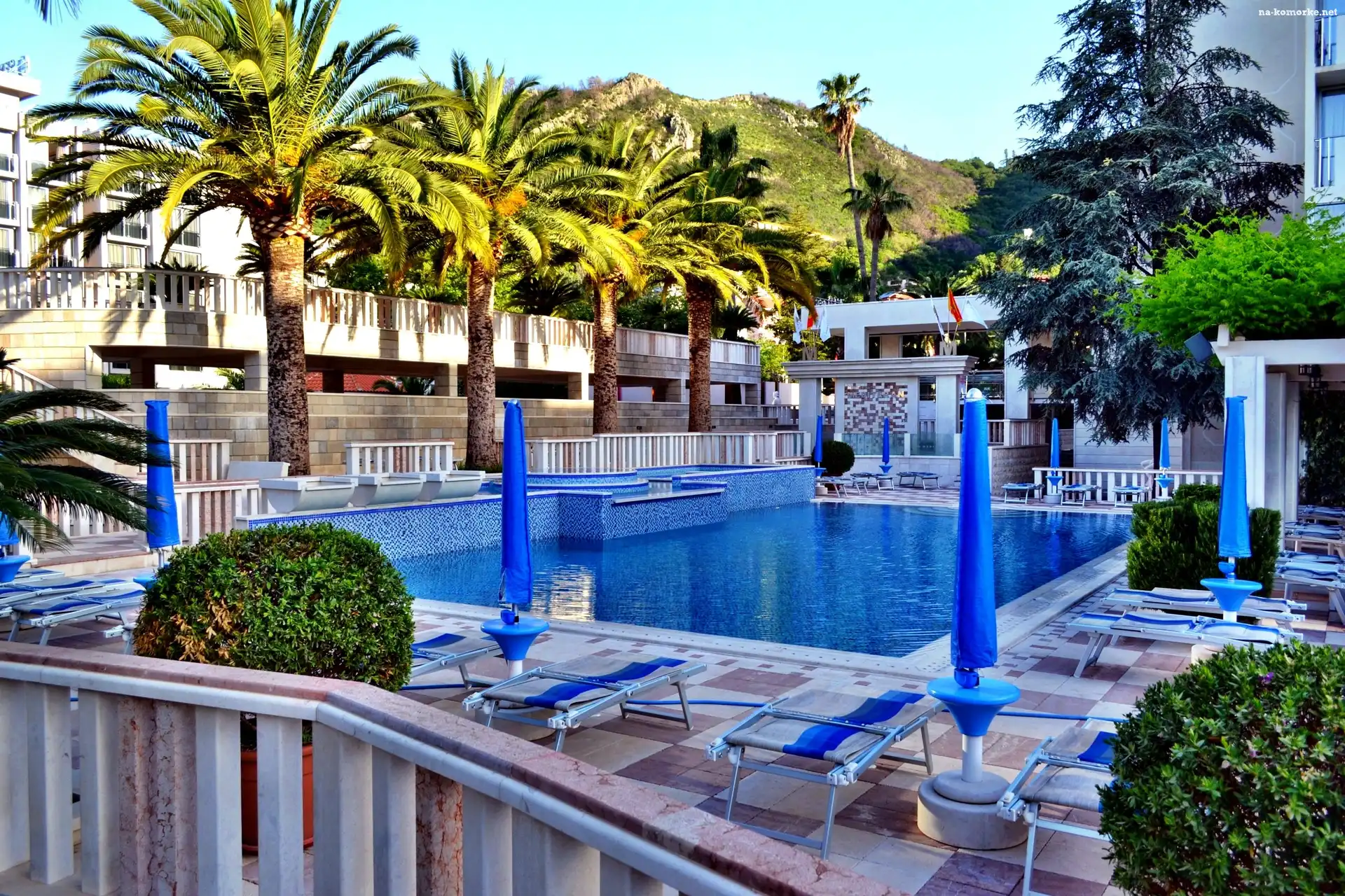 Hotel, Tropik, Basen, Palmy