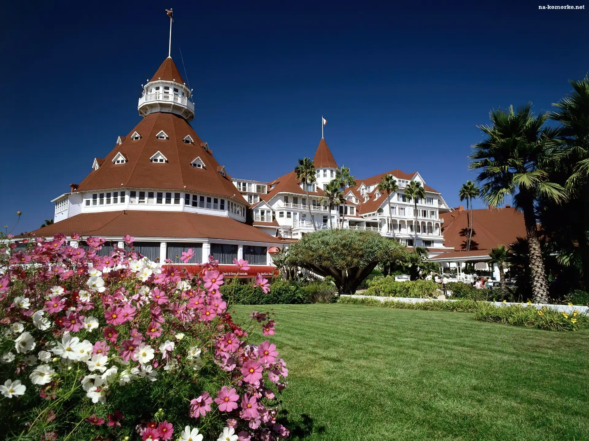 Hotel, Trawnik, Coronado, Kwiaty