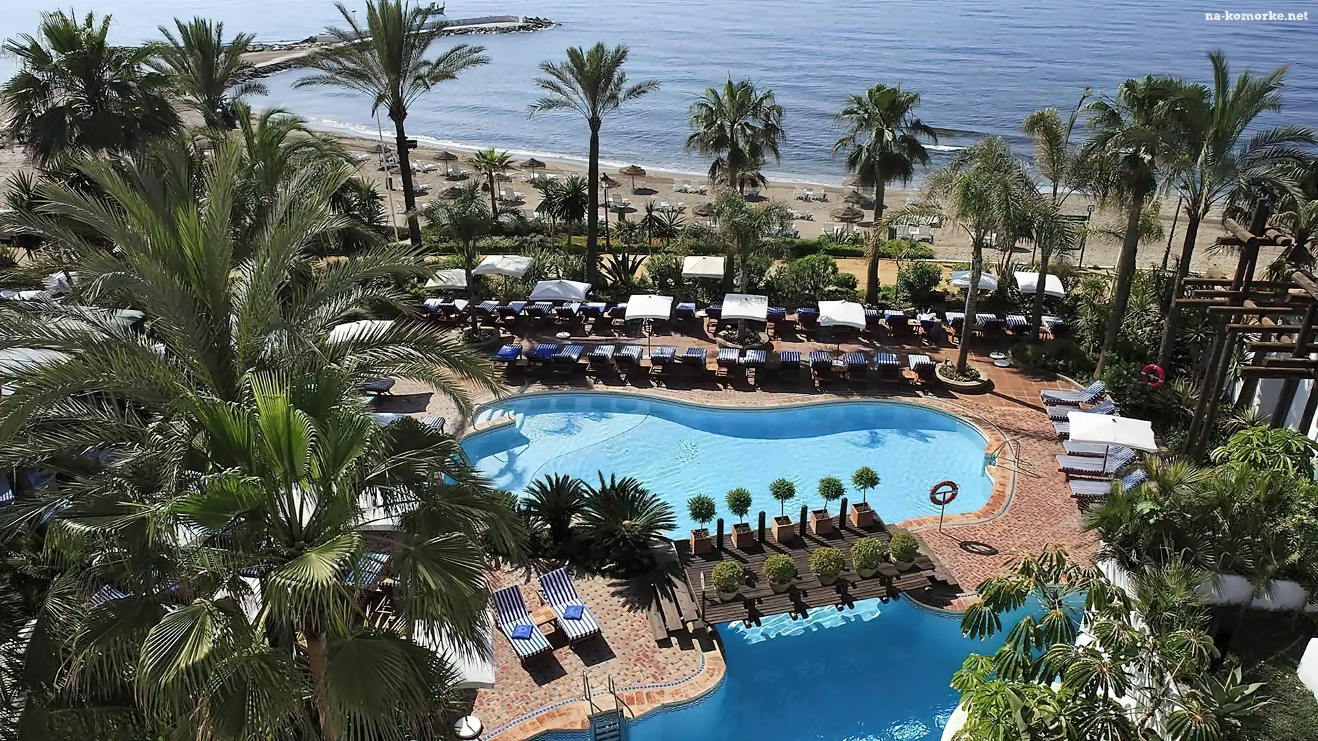 Hotelowy, Plaża, Morze, Palmy, Kompleks, Basen