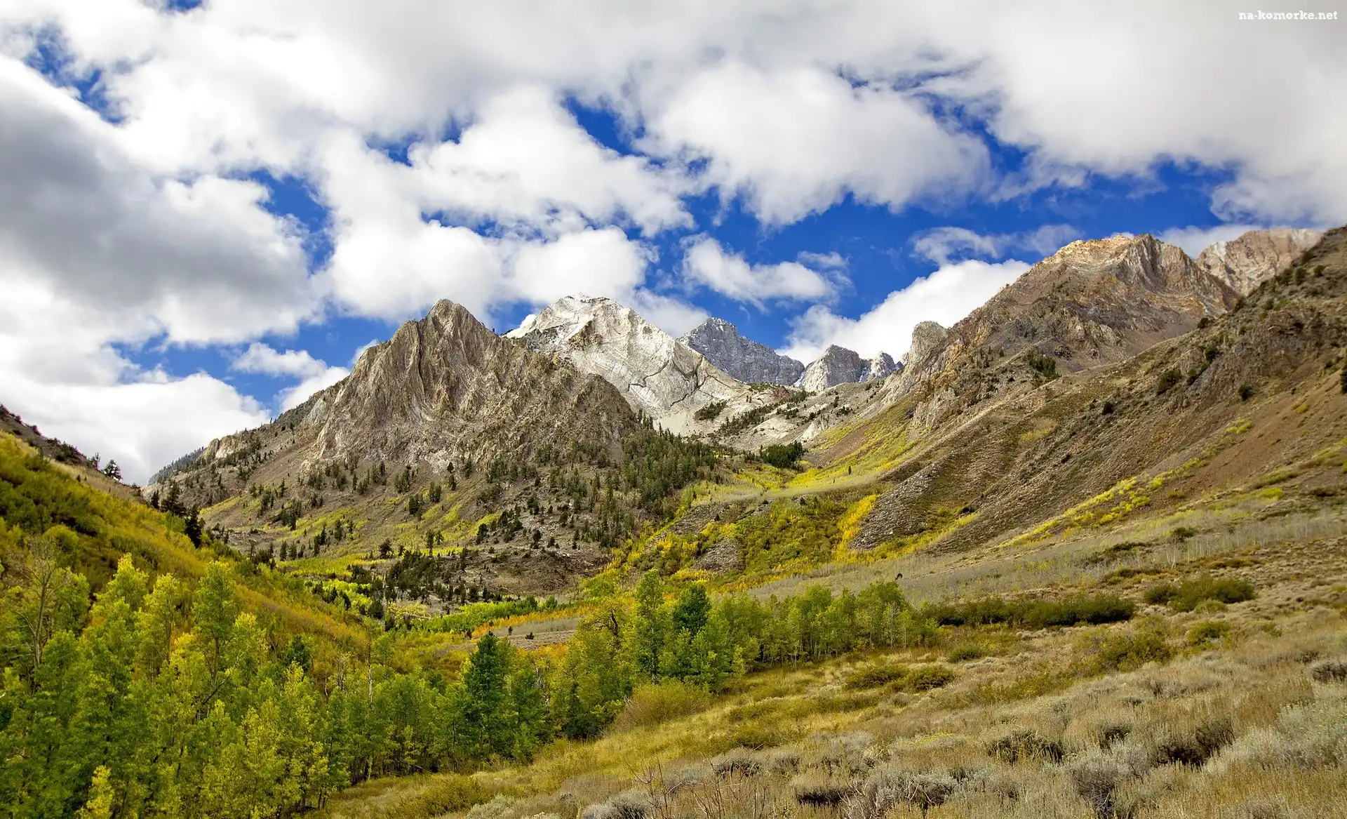 Hrabstwo Mono, Drzewa, Góry Sierra Nevada, Stany Zjednoczone, Miejsce McGee Creek, Stan Kalifornia
