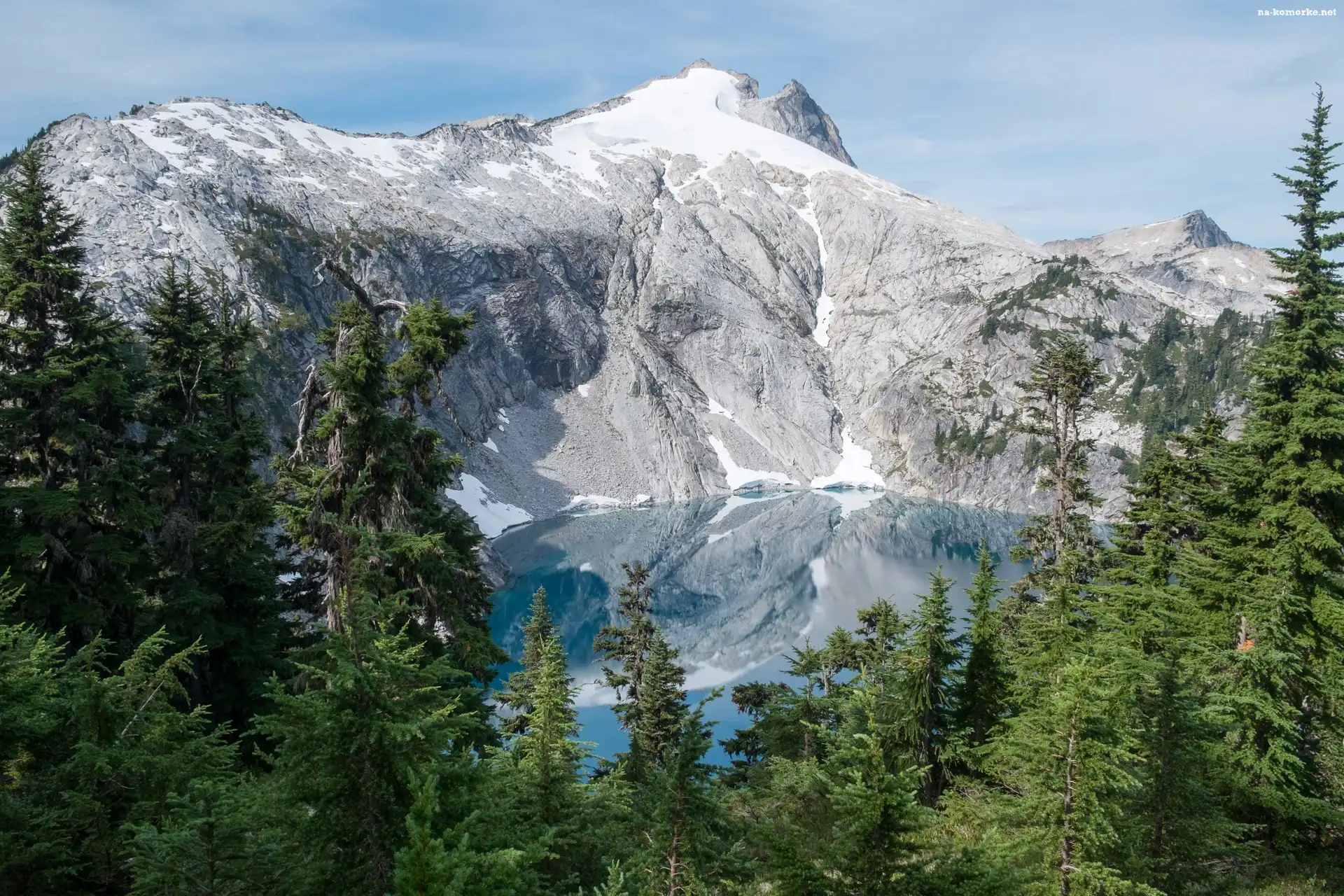 Stany Zjednoczone, Hrabstwo Garfield, Jezioro Cyclone Lake, Drzewa, Stan Utah, Góry