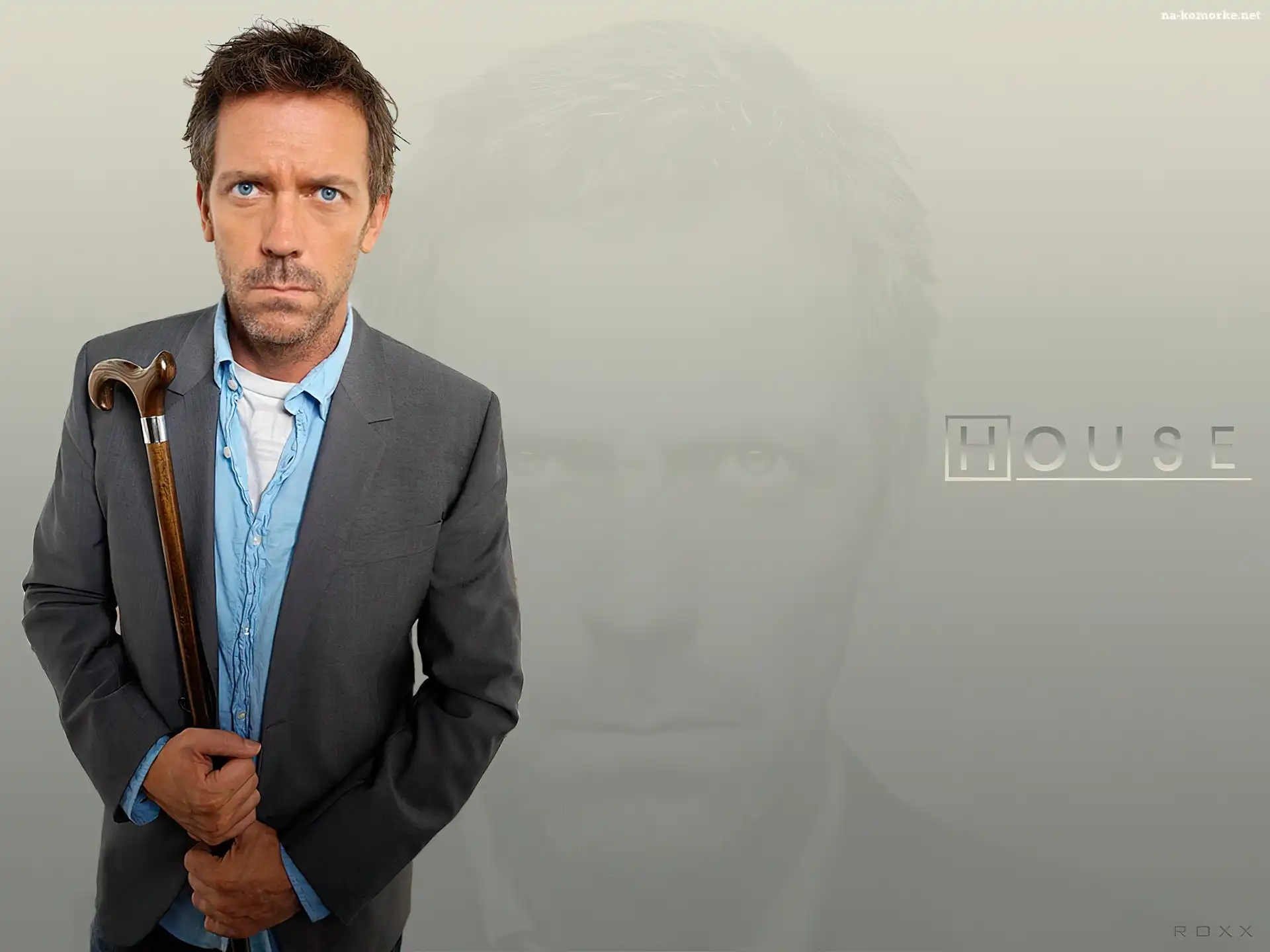Hugh Lauriego, Dr. House, Laska