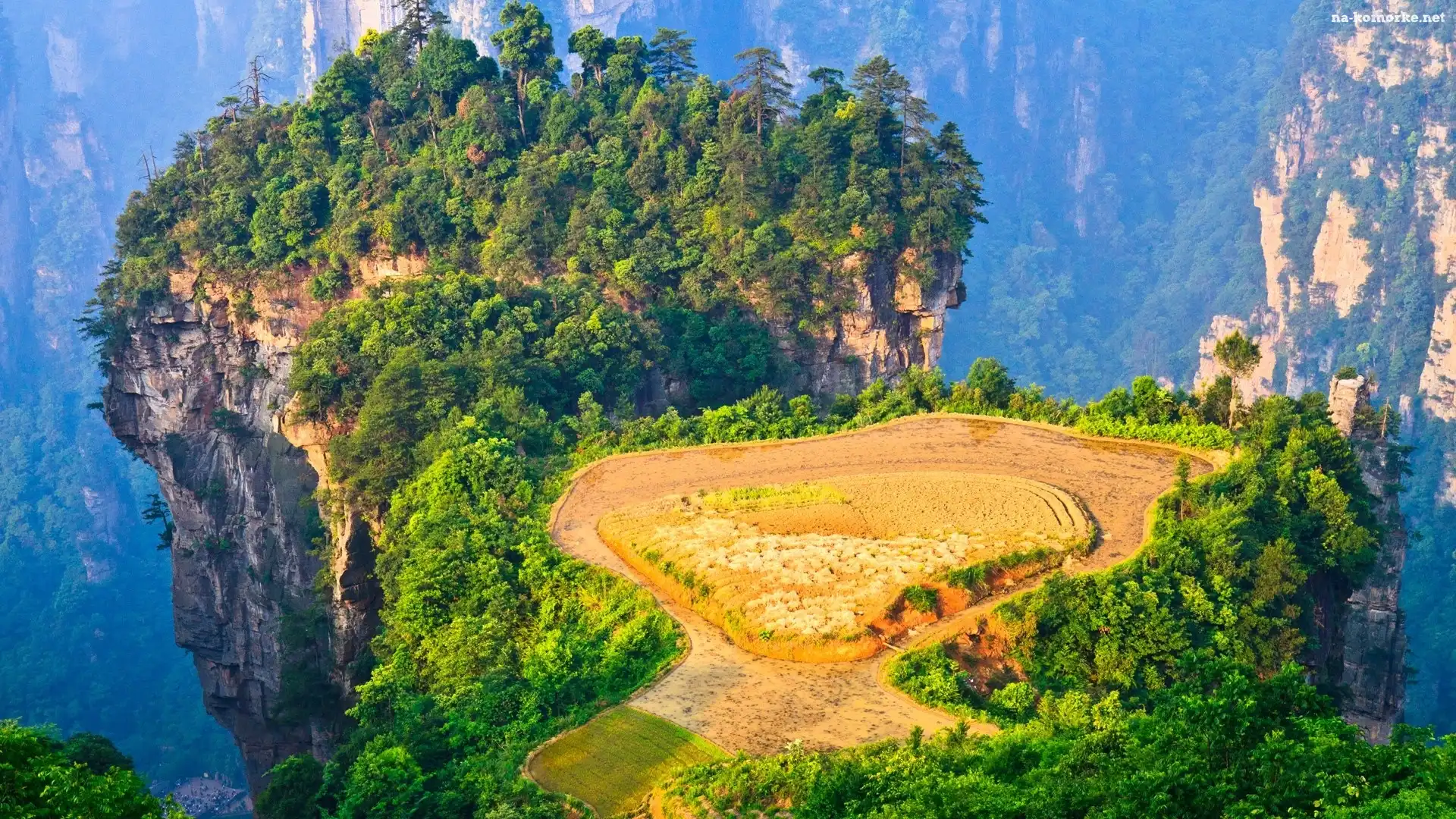 Rezerwat Wulingyuan, Drzewa, Skały, Chiny, Zhangjiajie National Forest Park, Hunan