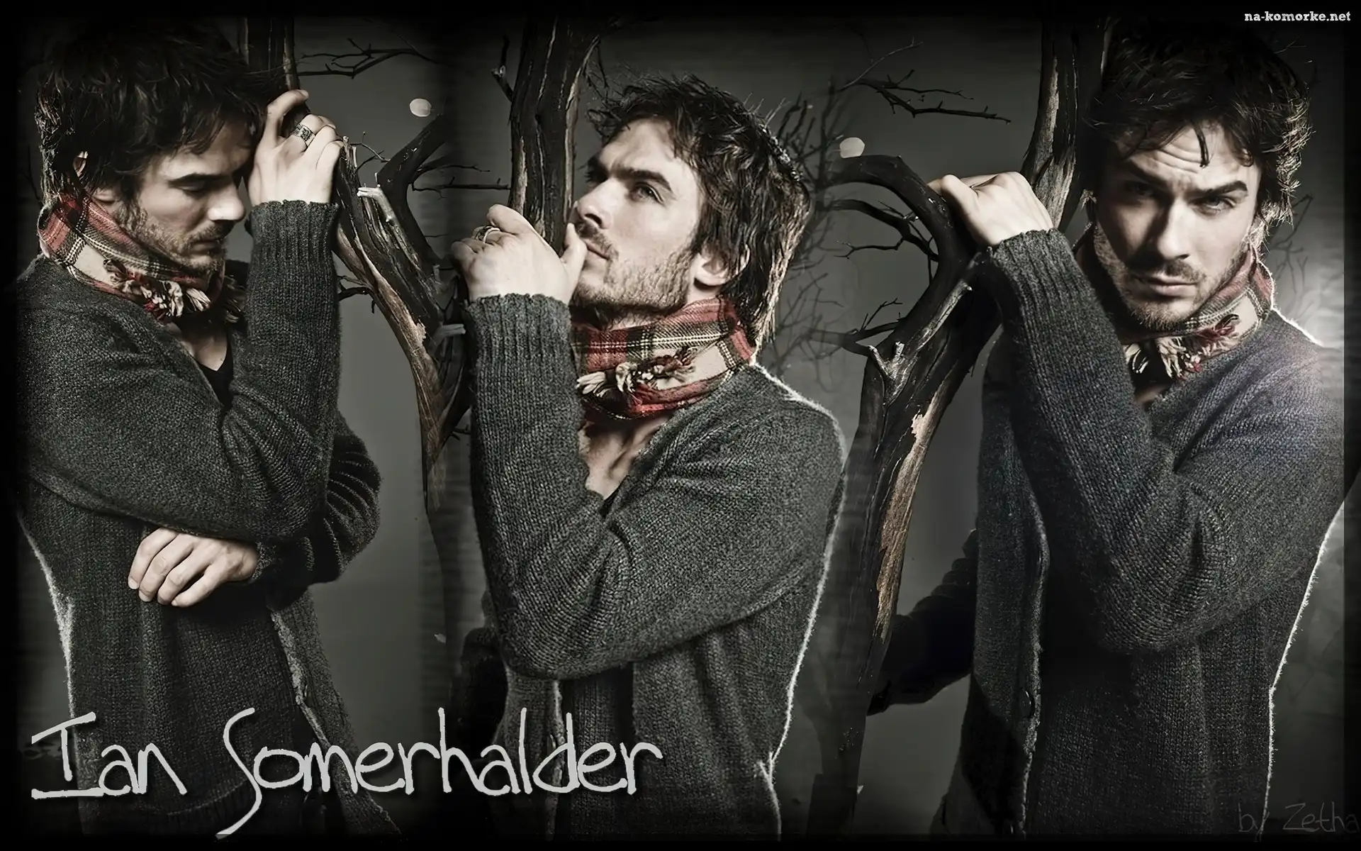 Ian Somerhalder