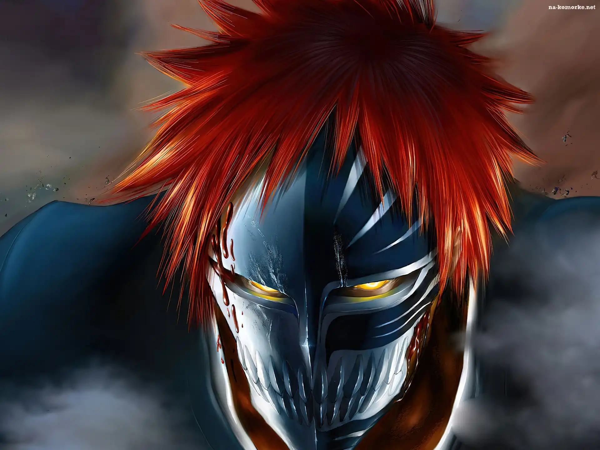 Ichigo, Hollofikacja