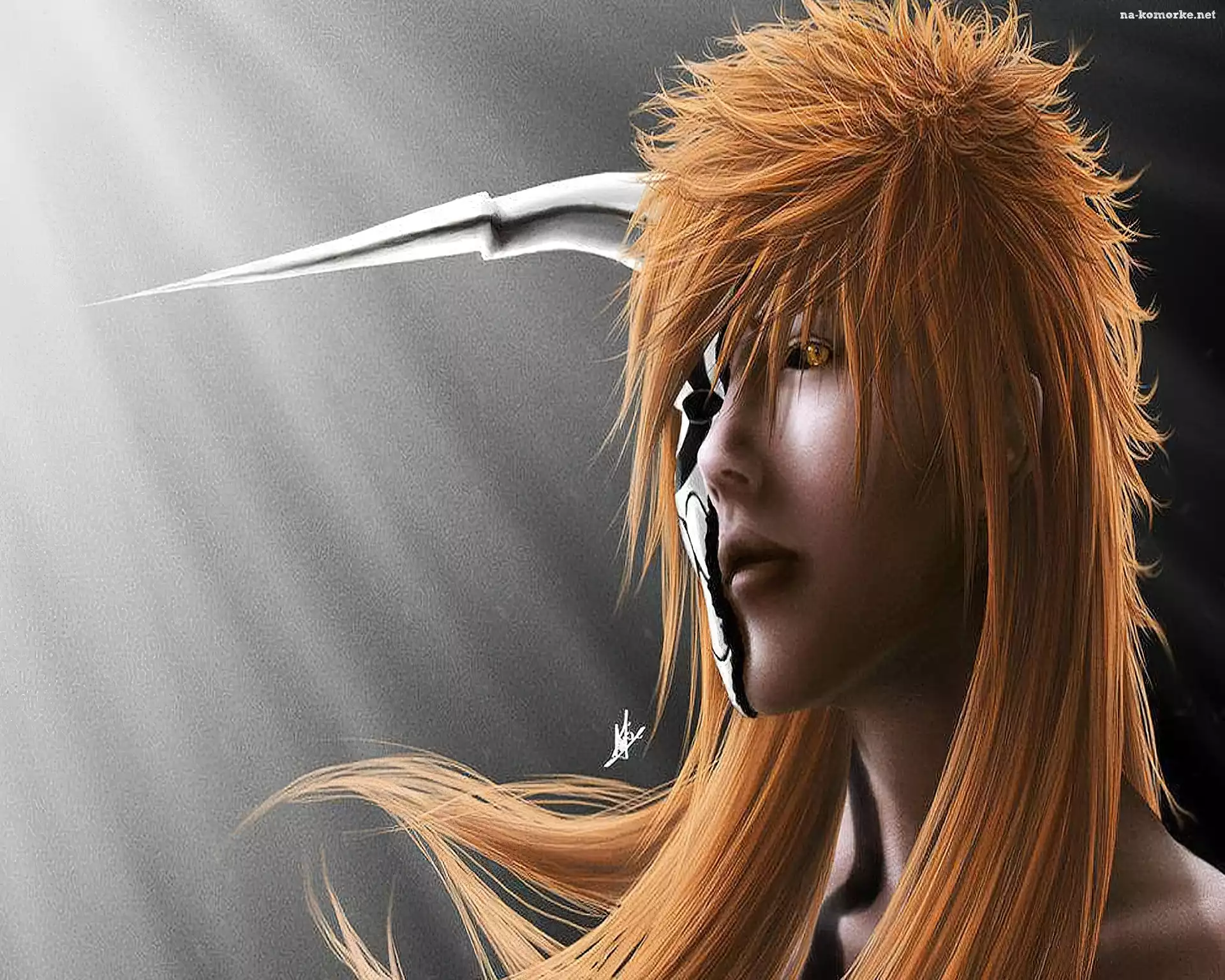 Ichigo, Hollow