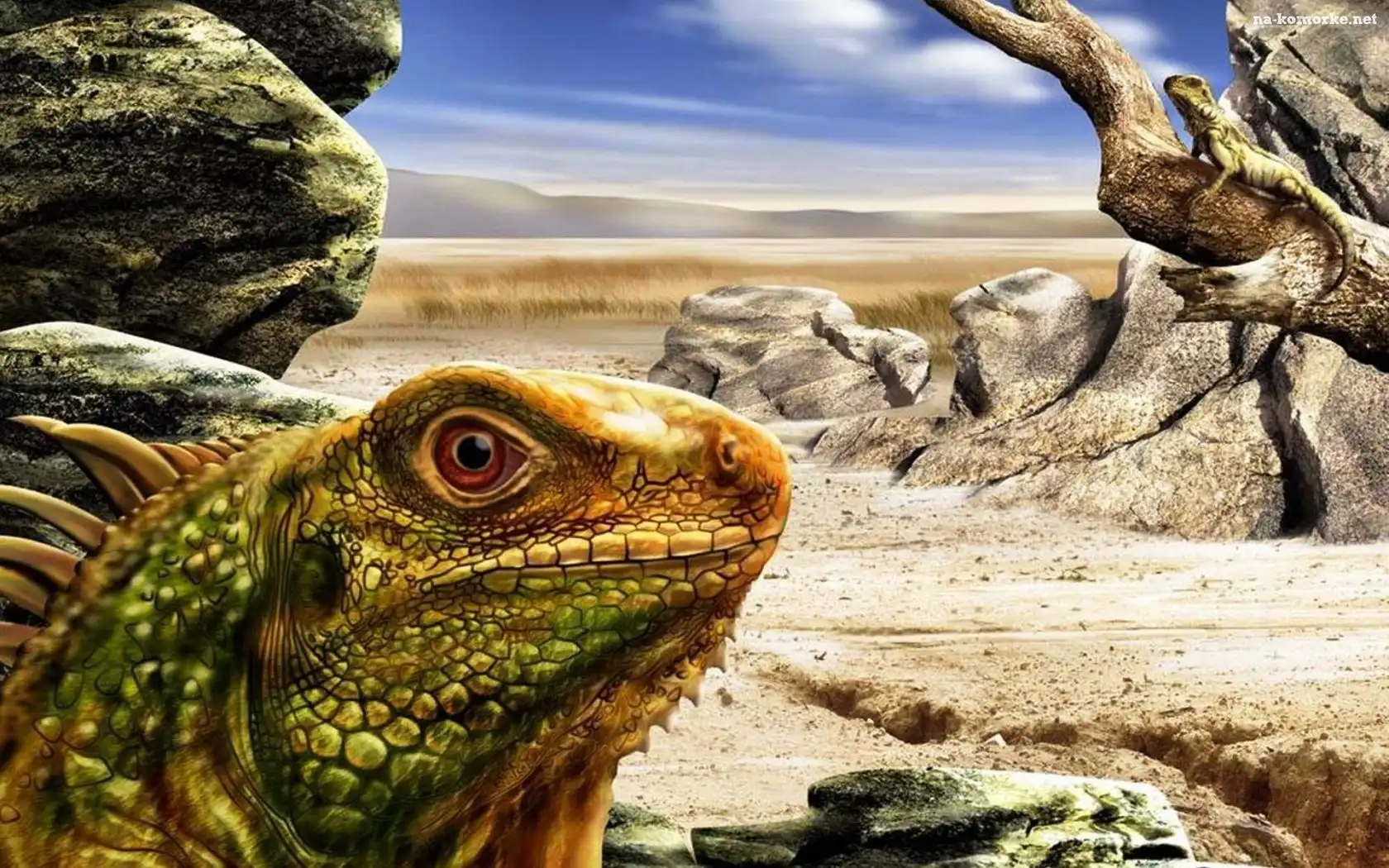 Iguana, Skały