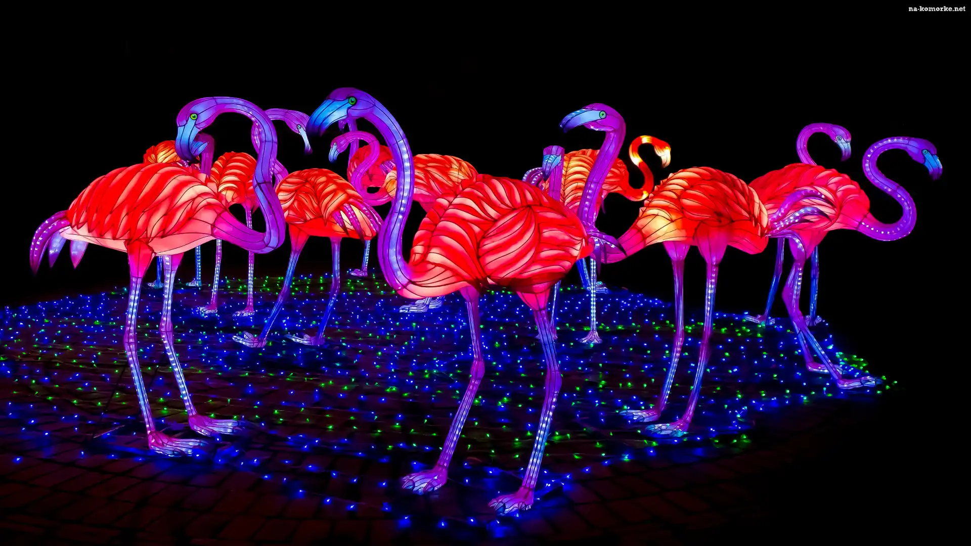 Iluminacje, Flamingi, Kolorowe, Elektryczne, Oświetlenie