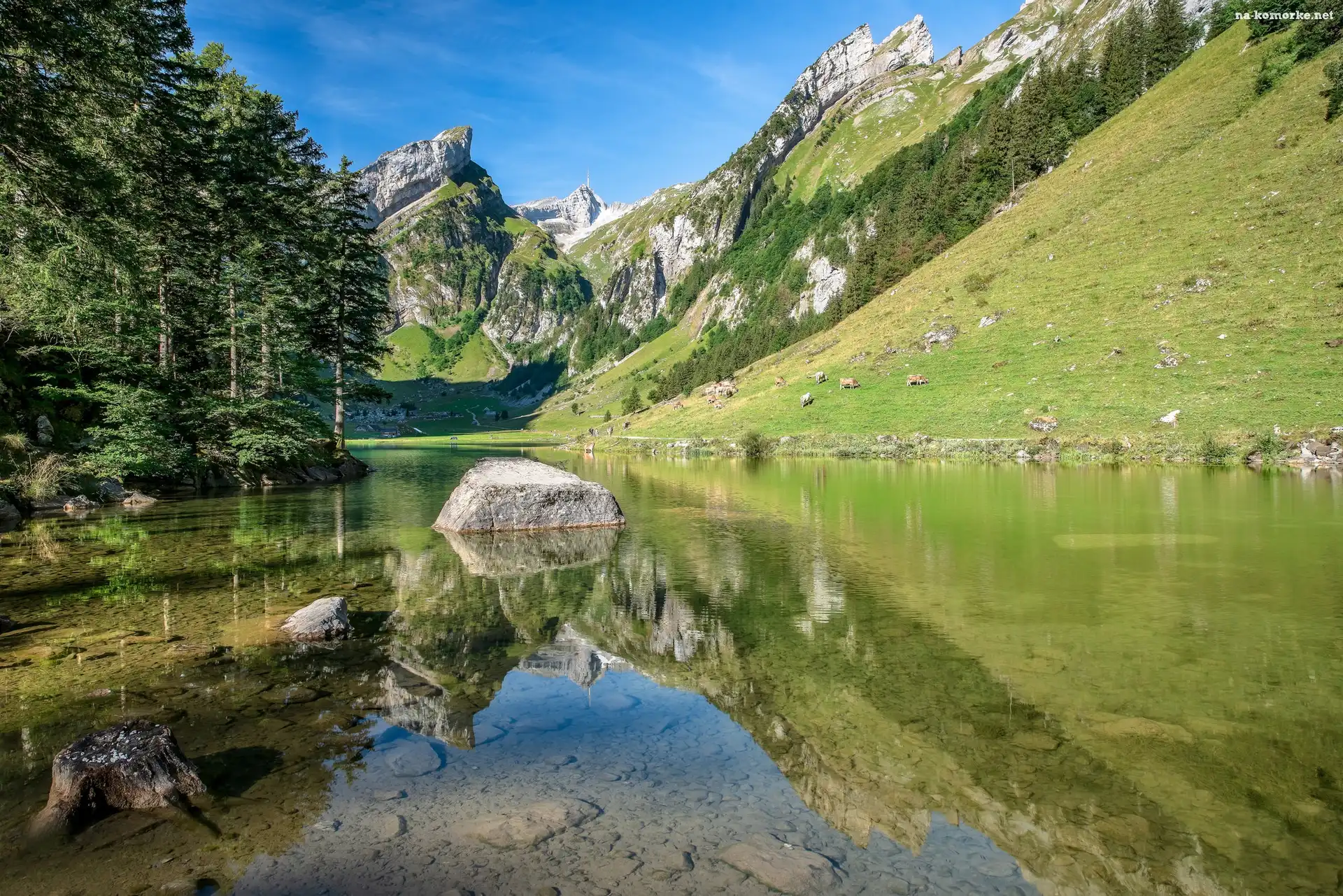 Drzewa, Góry Alpy, Jezioro Seealpsee, Szwajcaria, Kamienie, Kanton Appenzell Innerrhoden