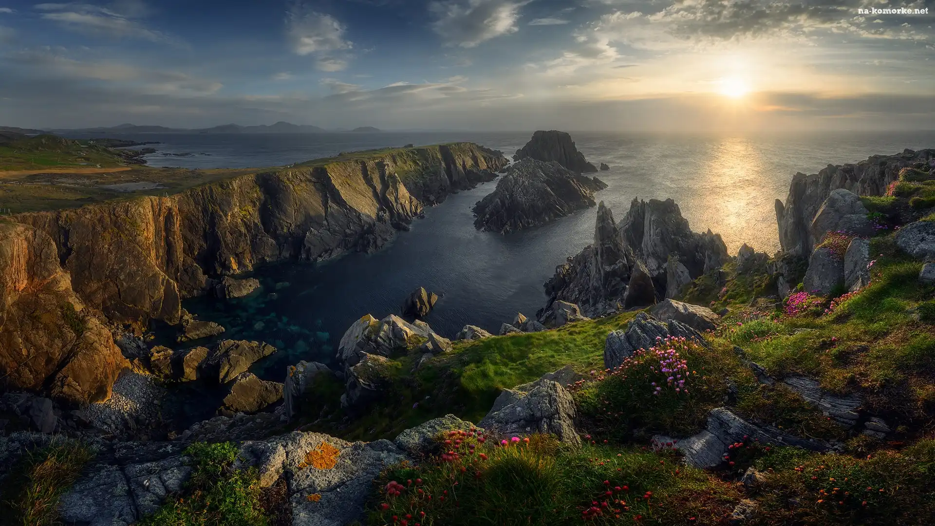 Skały, Przylądek Malin Head, Trawy, Zachód słońca, Hrabstwo Donegal, Irlandia, Kwiaty, Morze