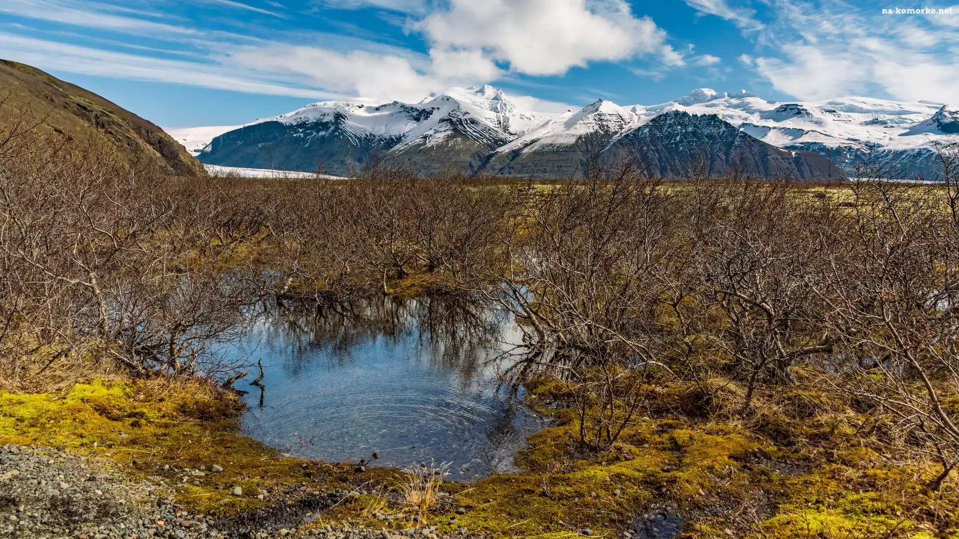 Jezioro, Islandia, Park Narodowy Vatnajökull, Góry, Drzewa