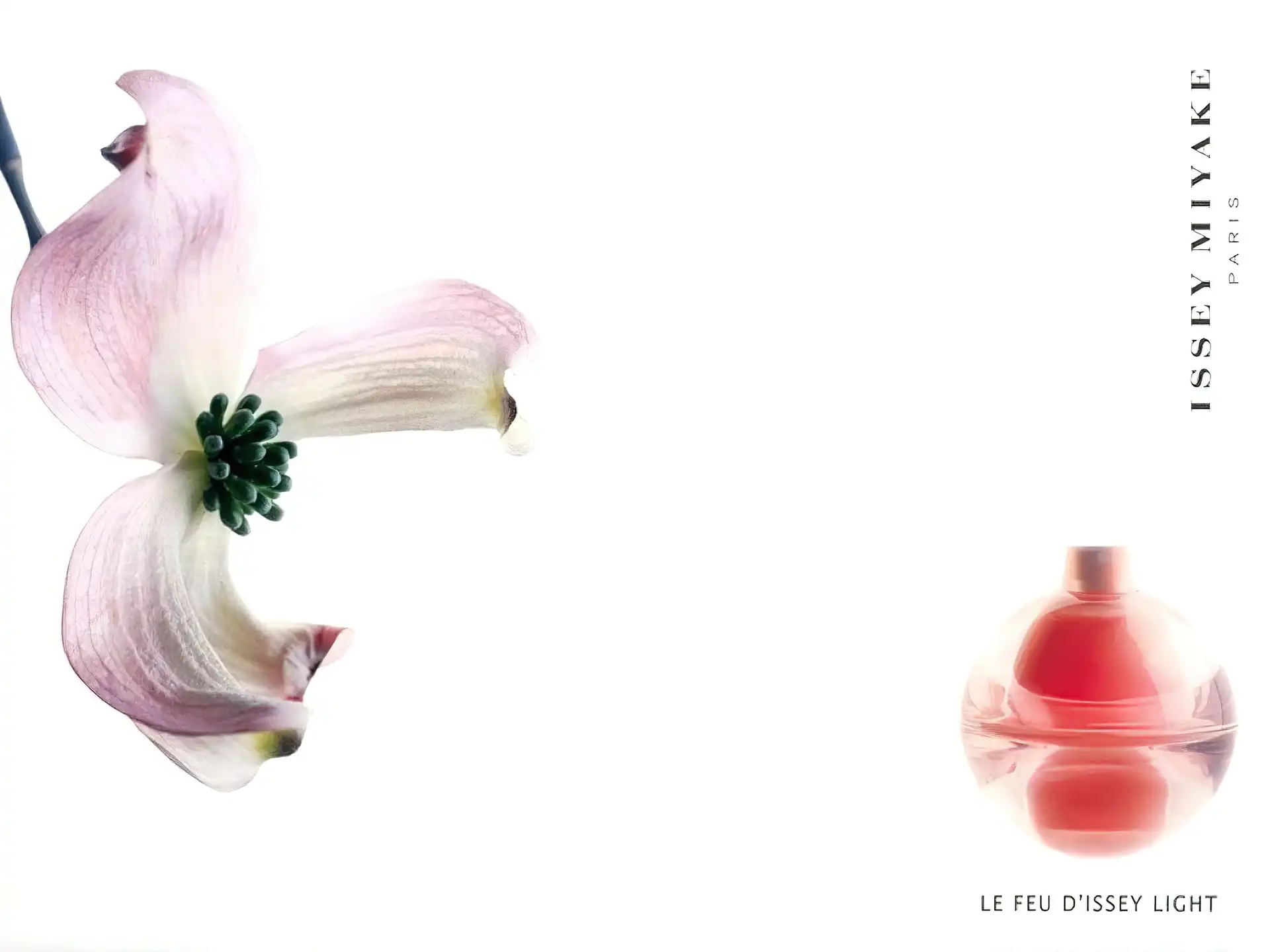 Issey Miyake, perfumy, kwiat, flakon