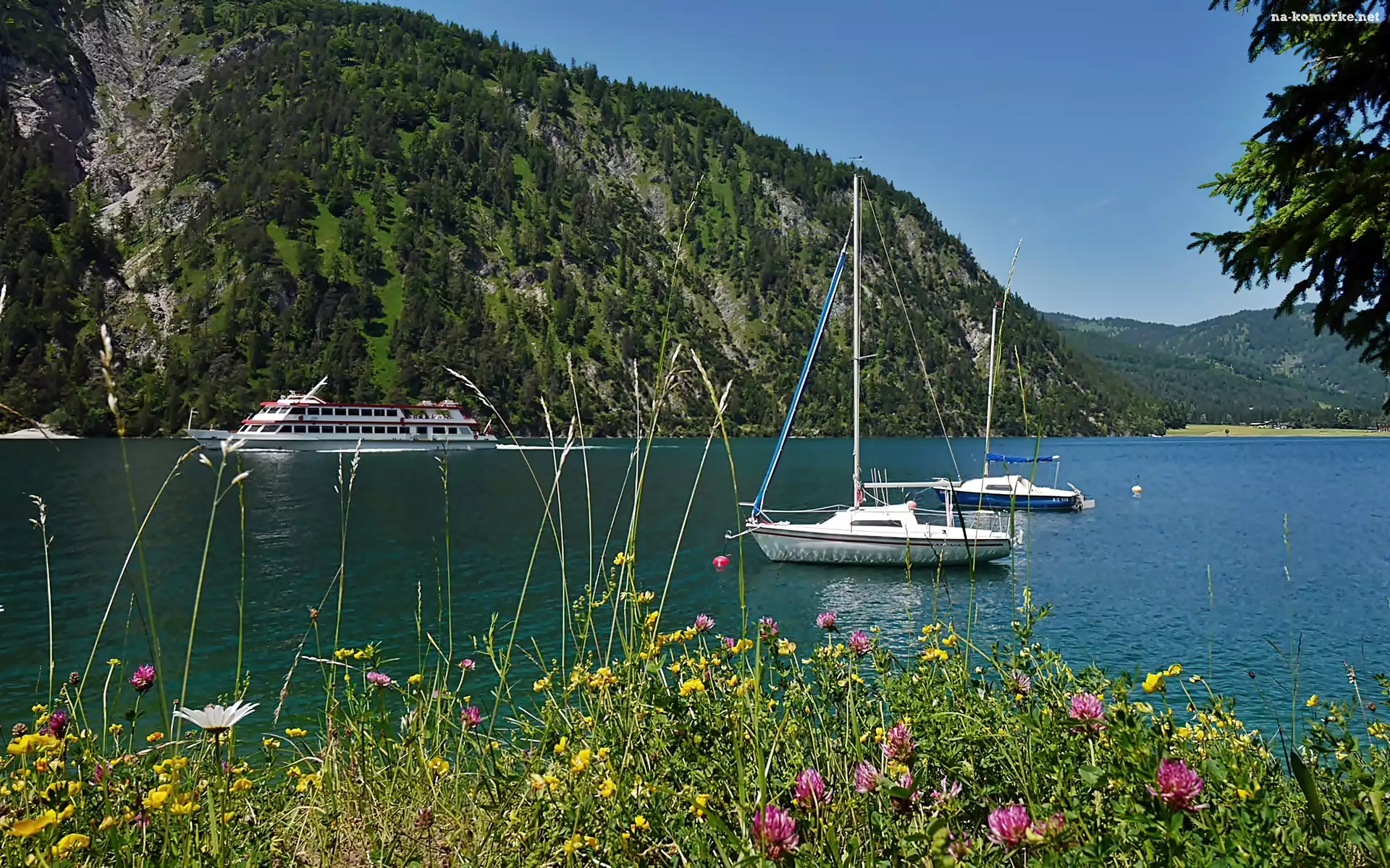 Lasy, Tyrol, Achensee, Łąka, Wycieczkowy, Góry, Statek, Jezioro, Jachty