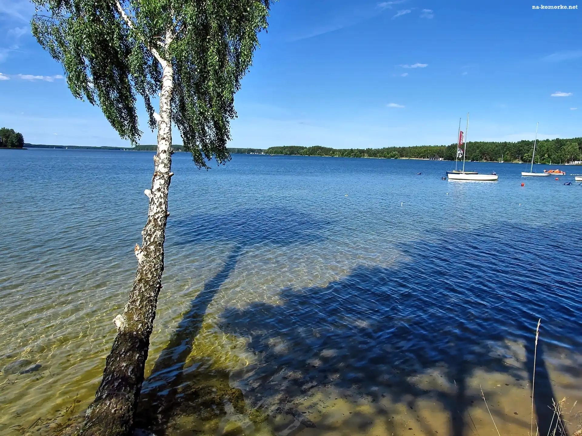 Jachty, Jezioro, Brzoza, Łódki, Fale, Kajaki