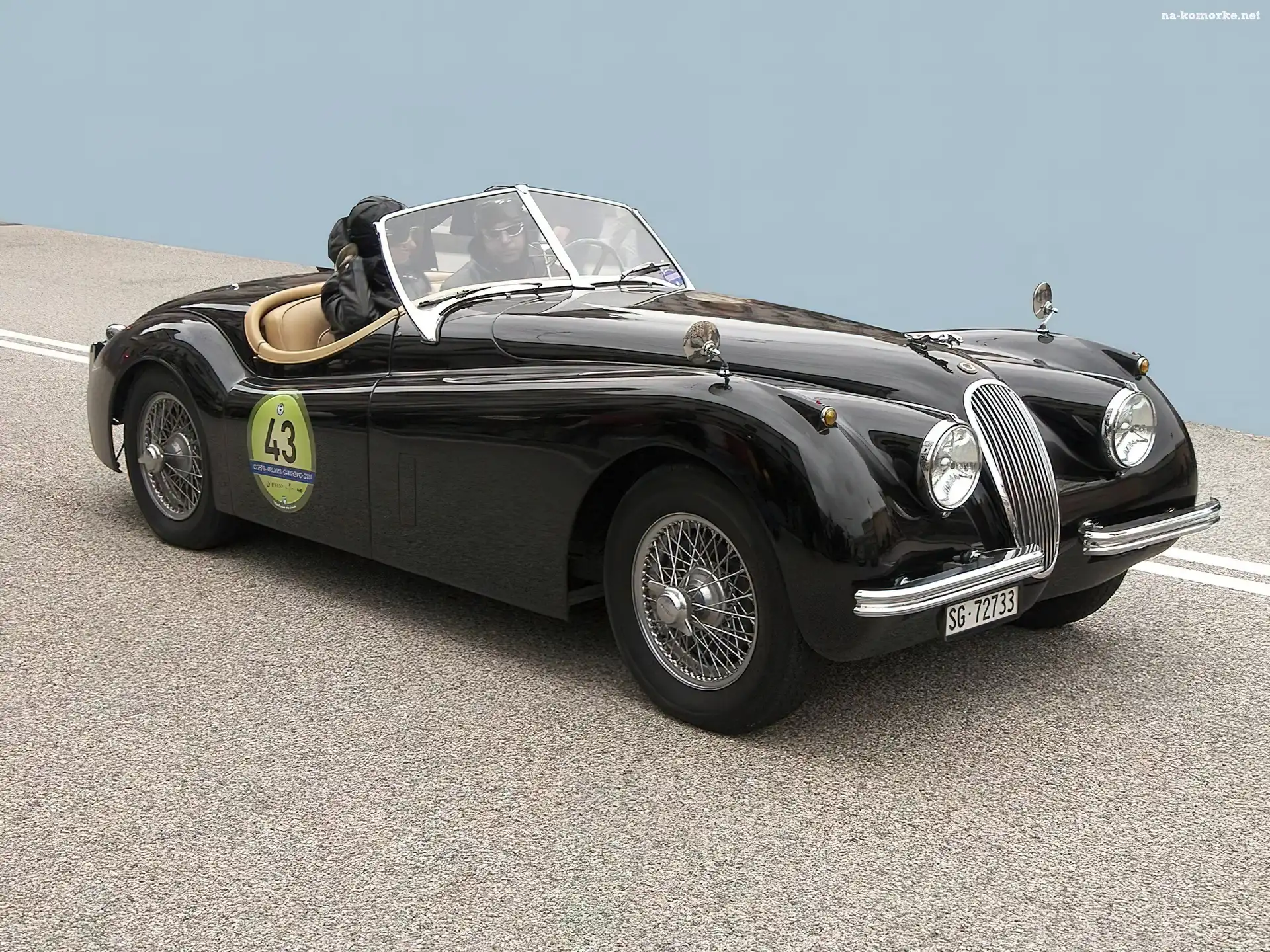 Jaguar, Black, XK, 120