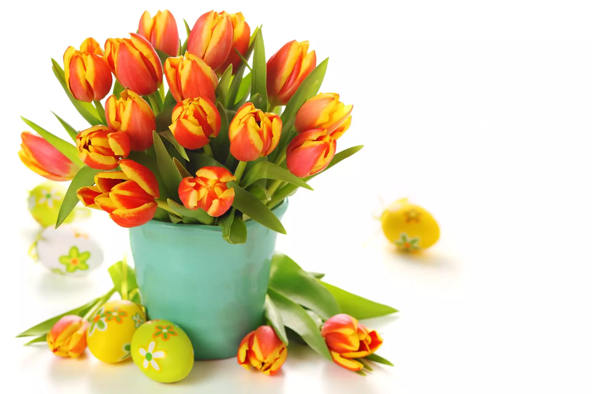 Wielkanoc, Tulipany, Jajka