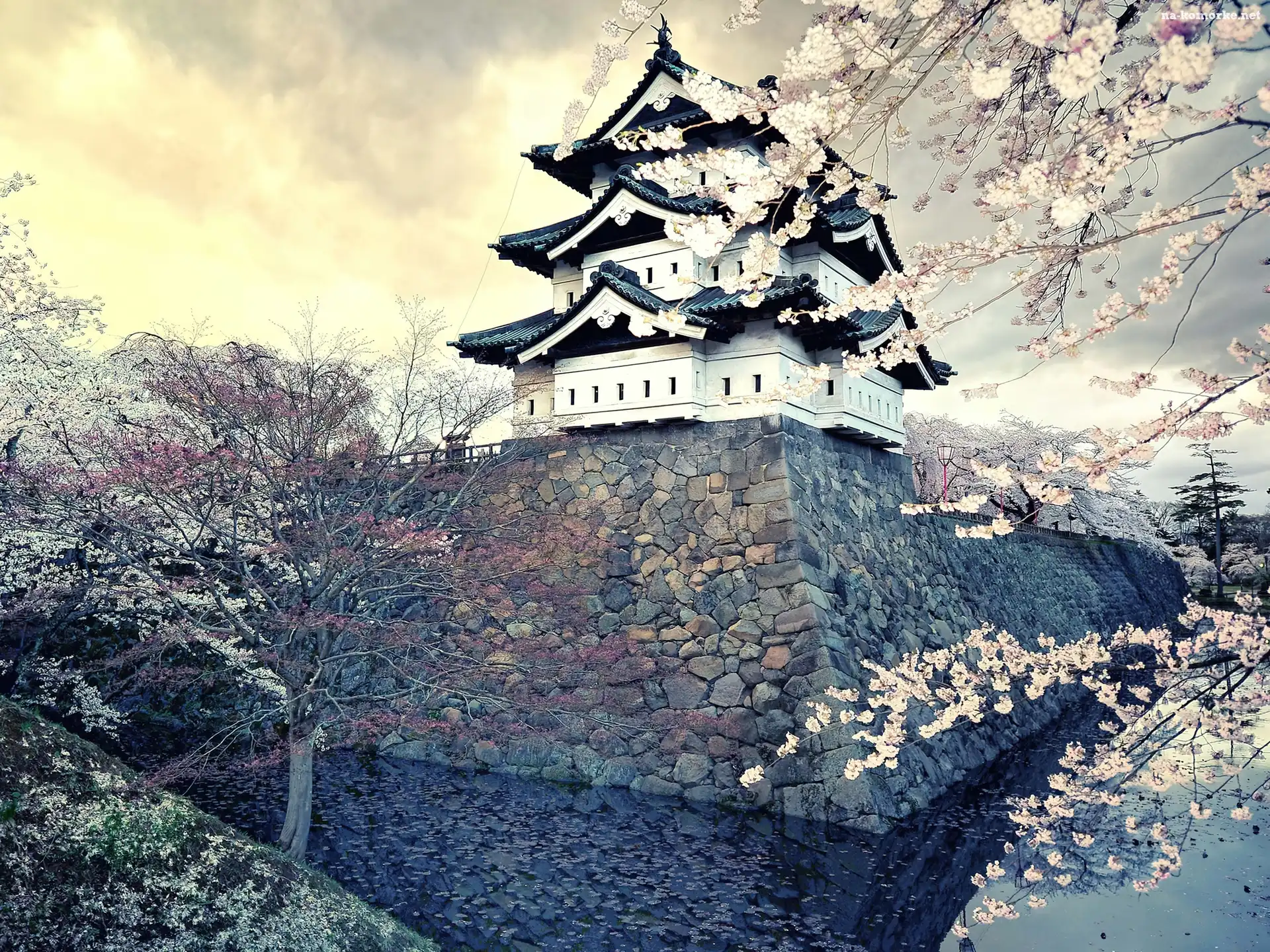 Japonia, Drzewa, Dom, Kwitnące