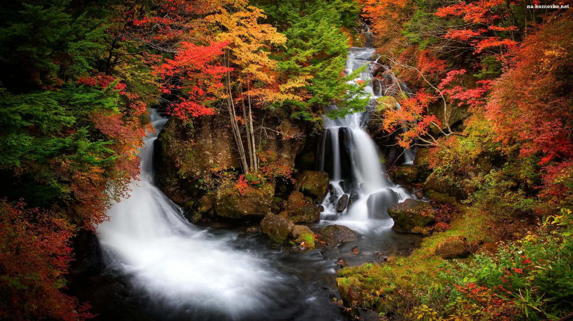 Japonia, Jesień, Las, Wodospad, Ryuzu