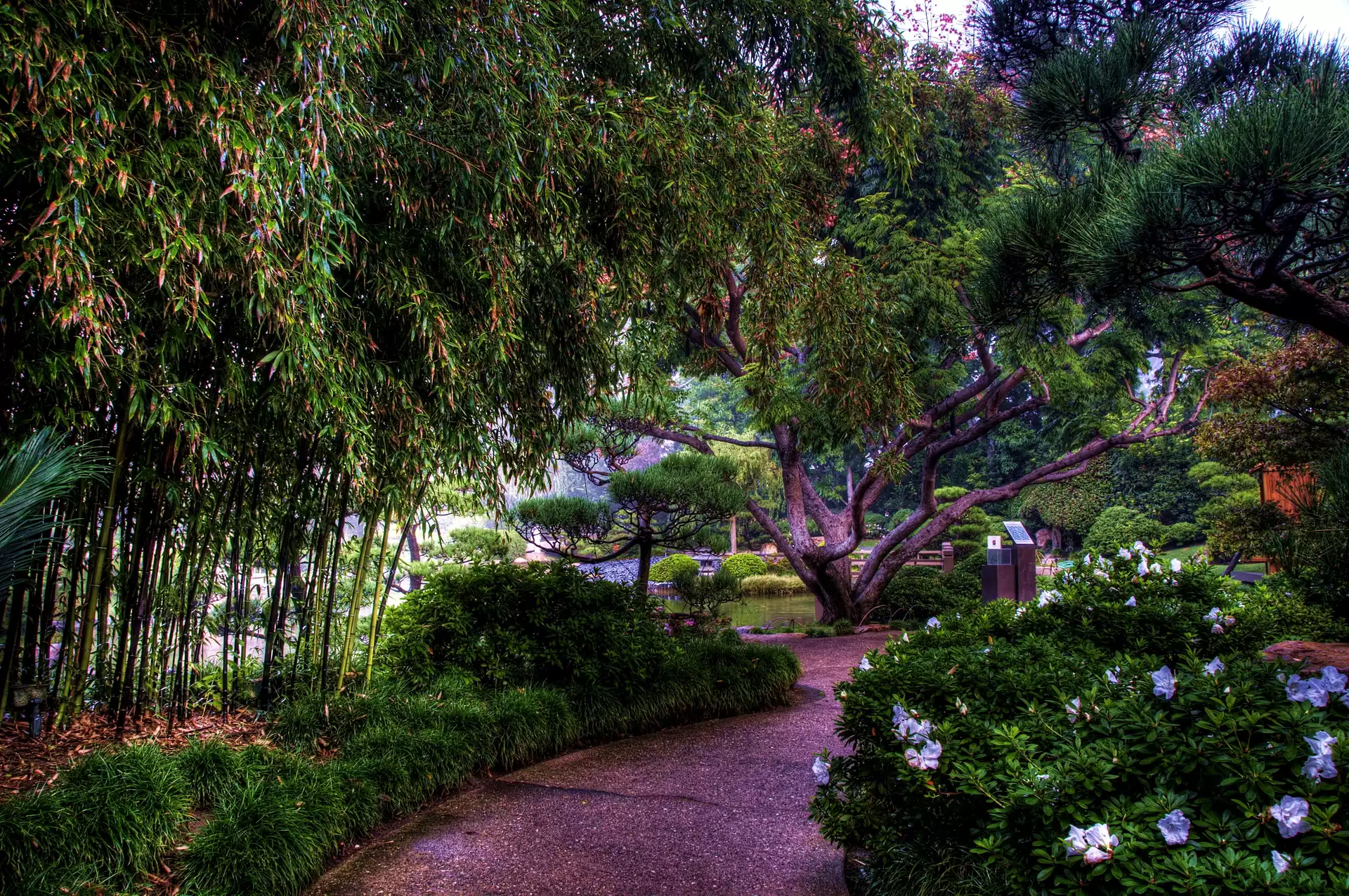 Japoński, USA, Park, Kalifornia