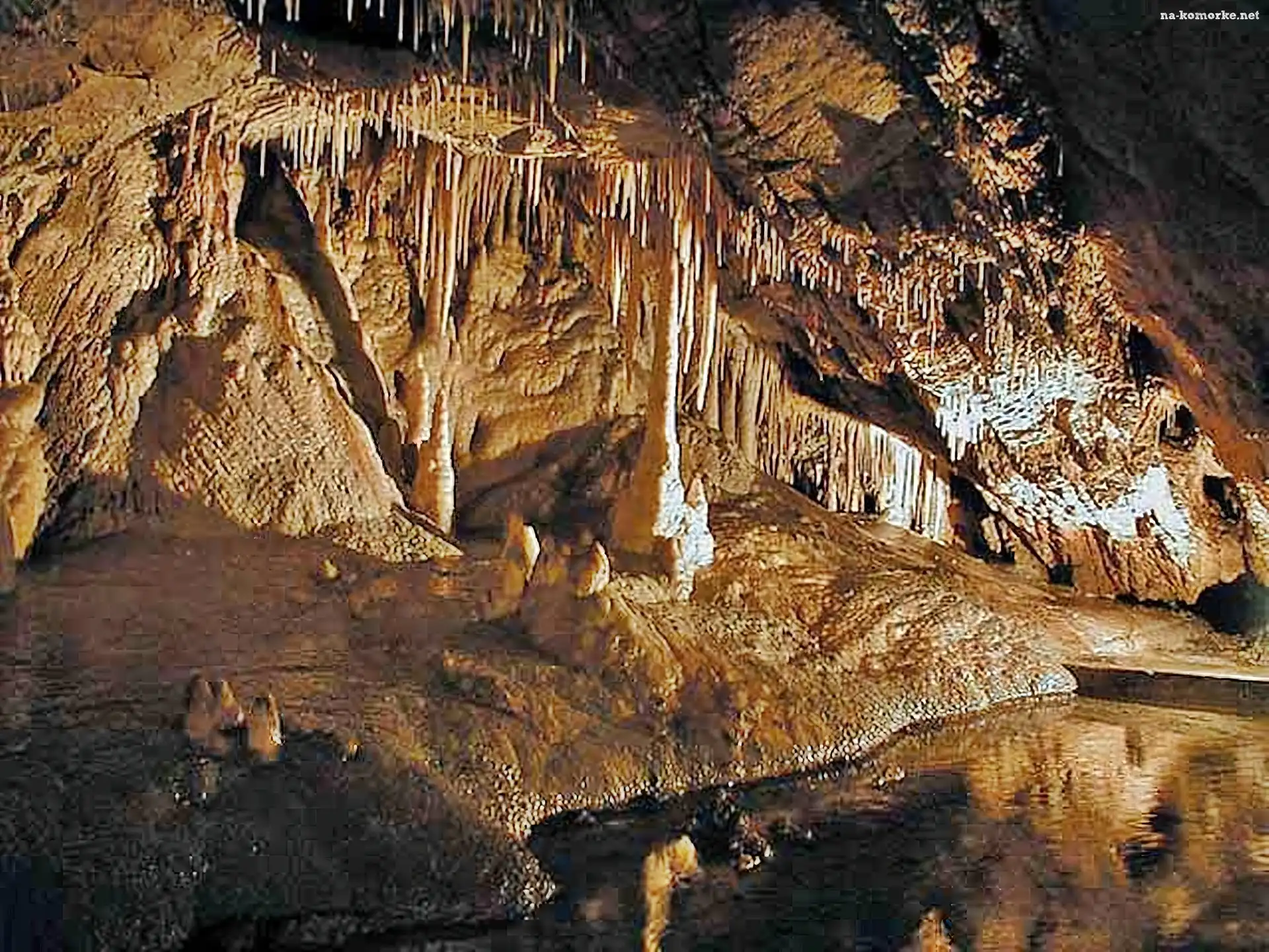 Śnieżnik, Jaskinia, Niedźwiedzia
