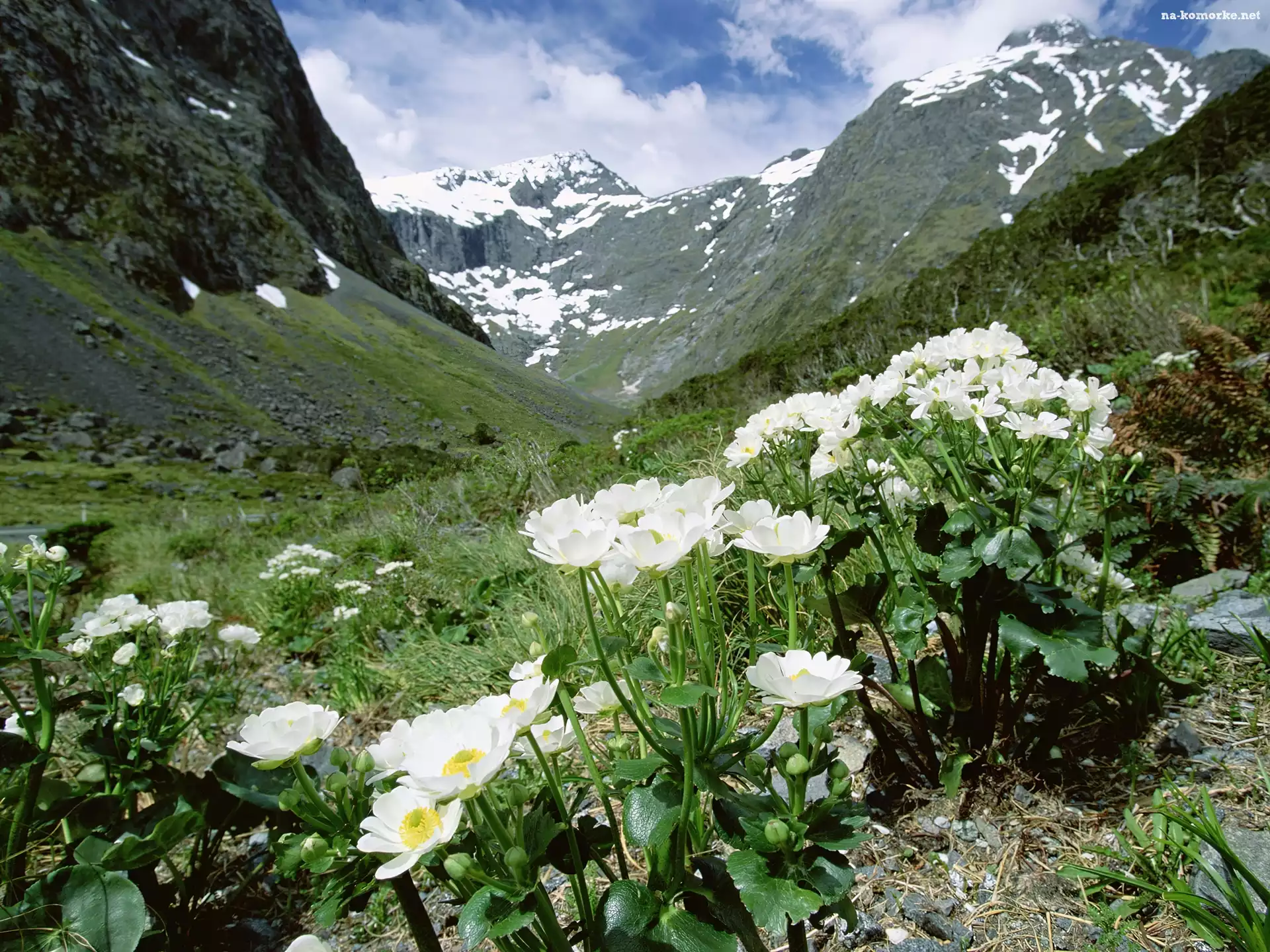 Jaskry, Fjordland National Park, Wysokogórskie, Góry
