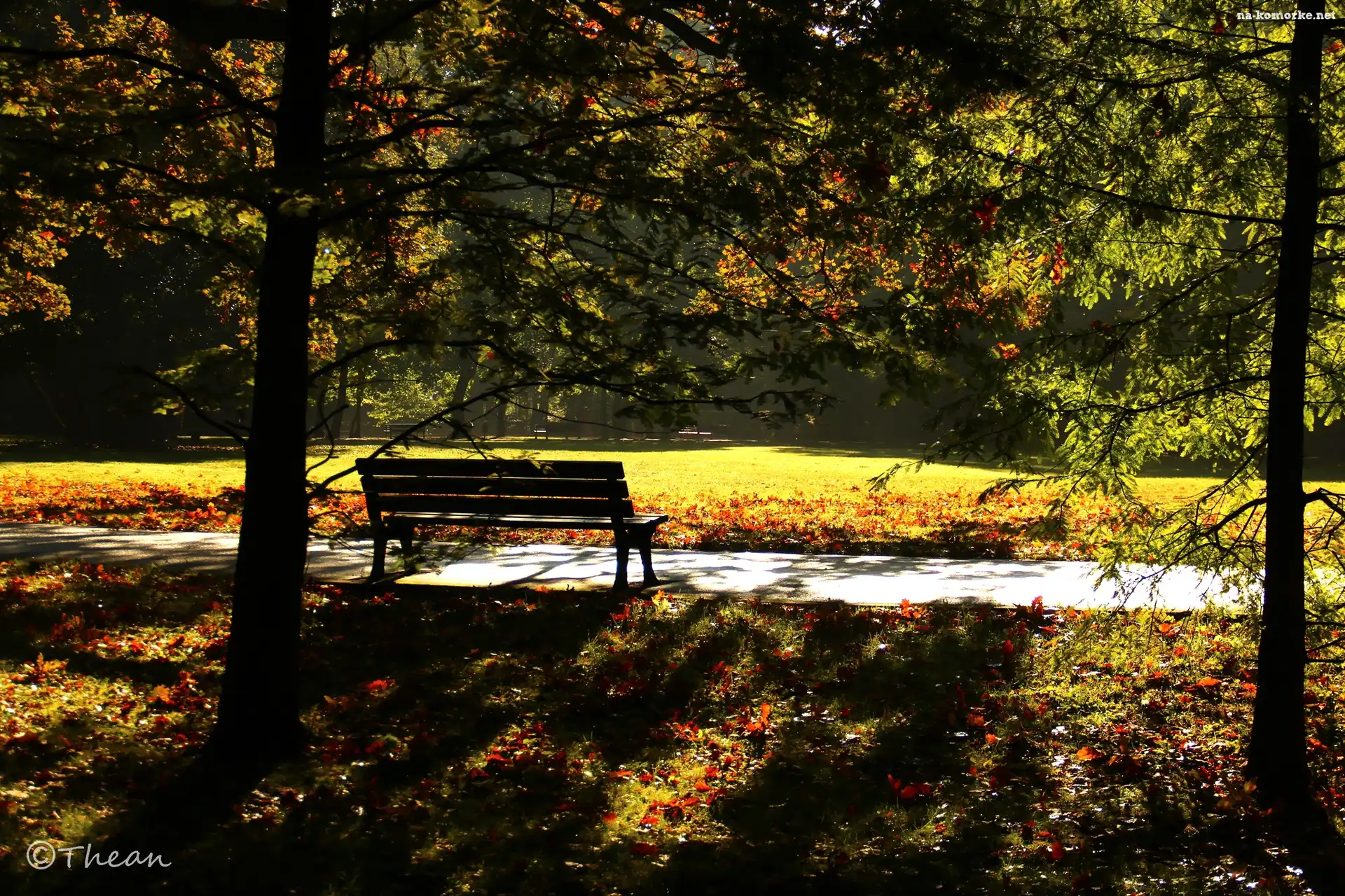Jesień, Park, Drzewa, Ławka, Poranek