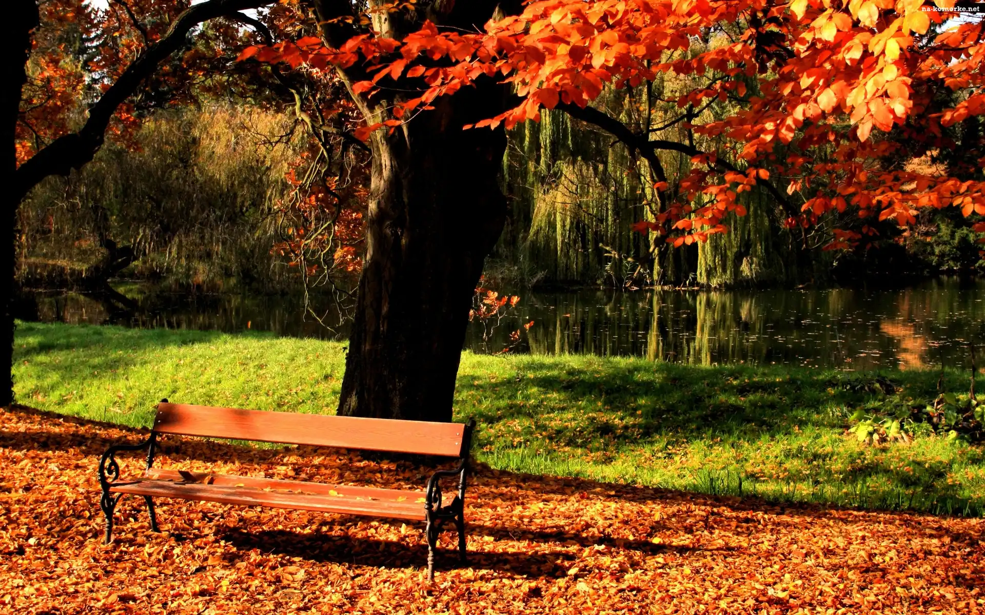 Jesień, Park, Rzeka, Ławka, Liście