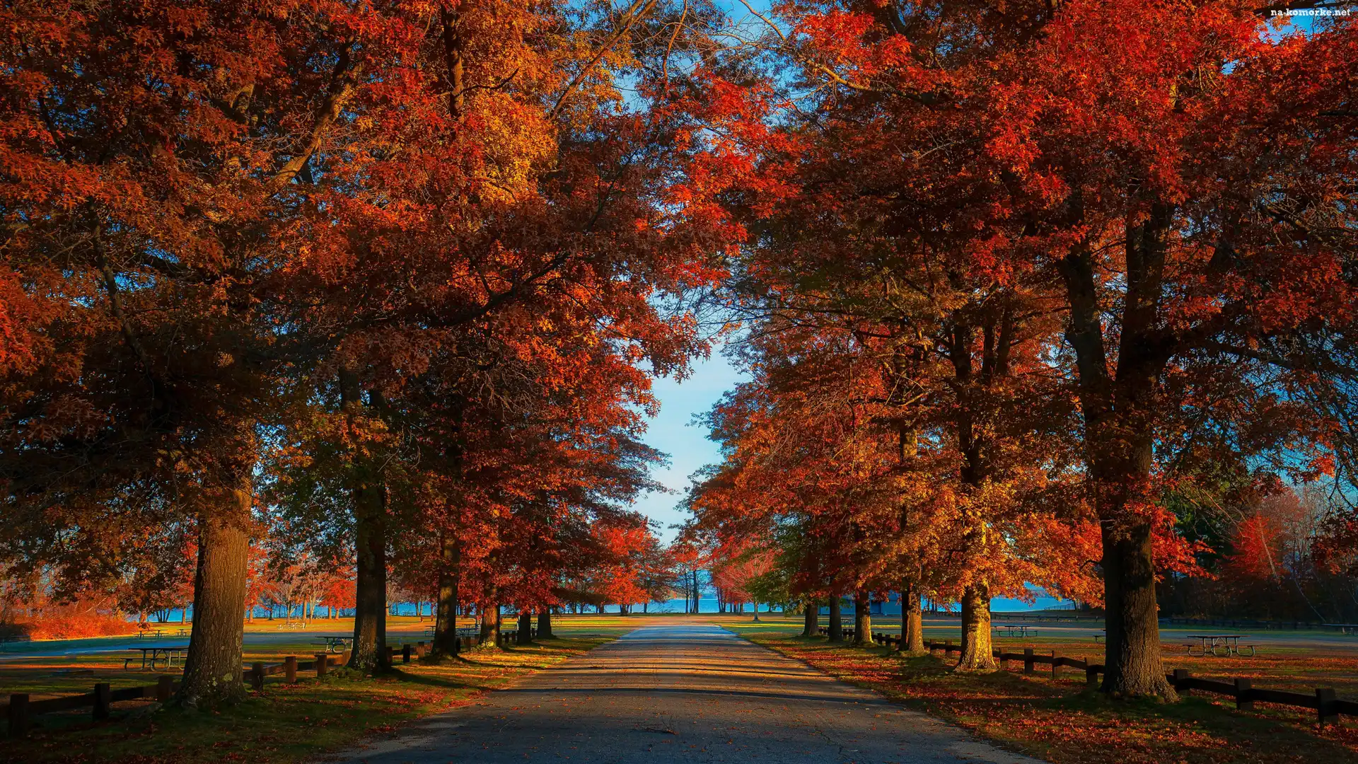 Jesień, Park, Drzewa, Ławki, Aleja