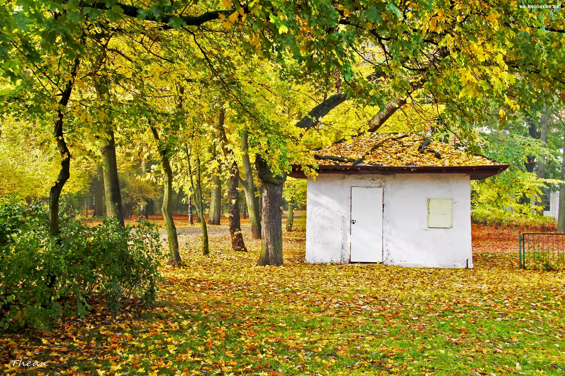 Jesień, Mały, Biały, Domek, Park